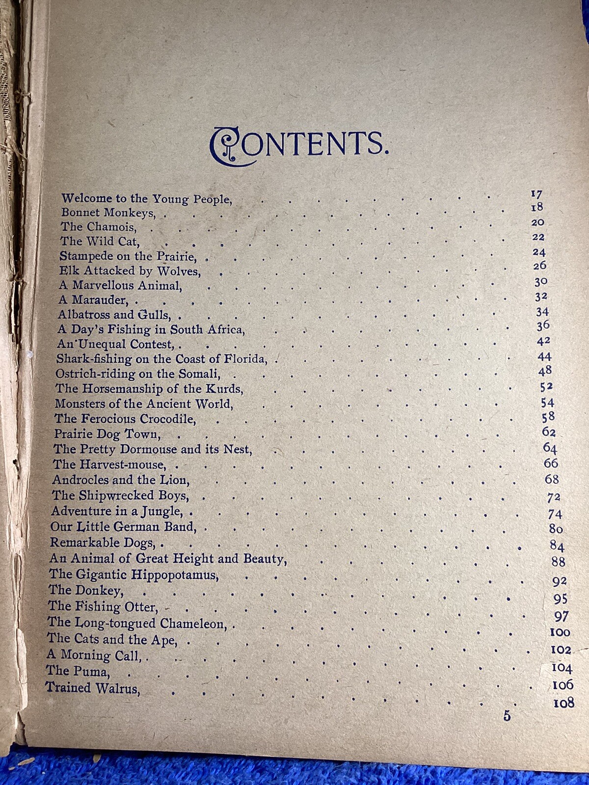 Vintage The King Of The Circus 1902 Book Unknown Publisher And Author 224 Pages
