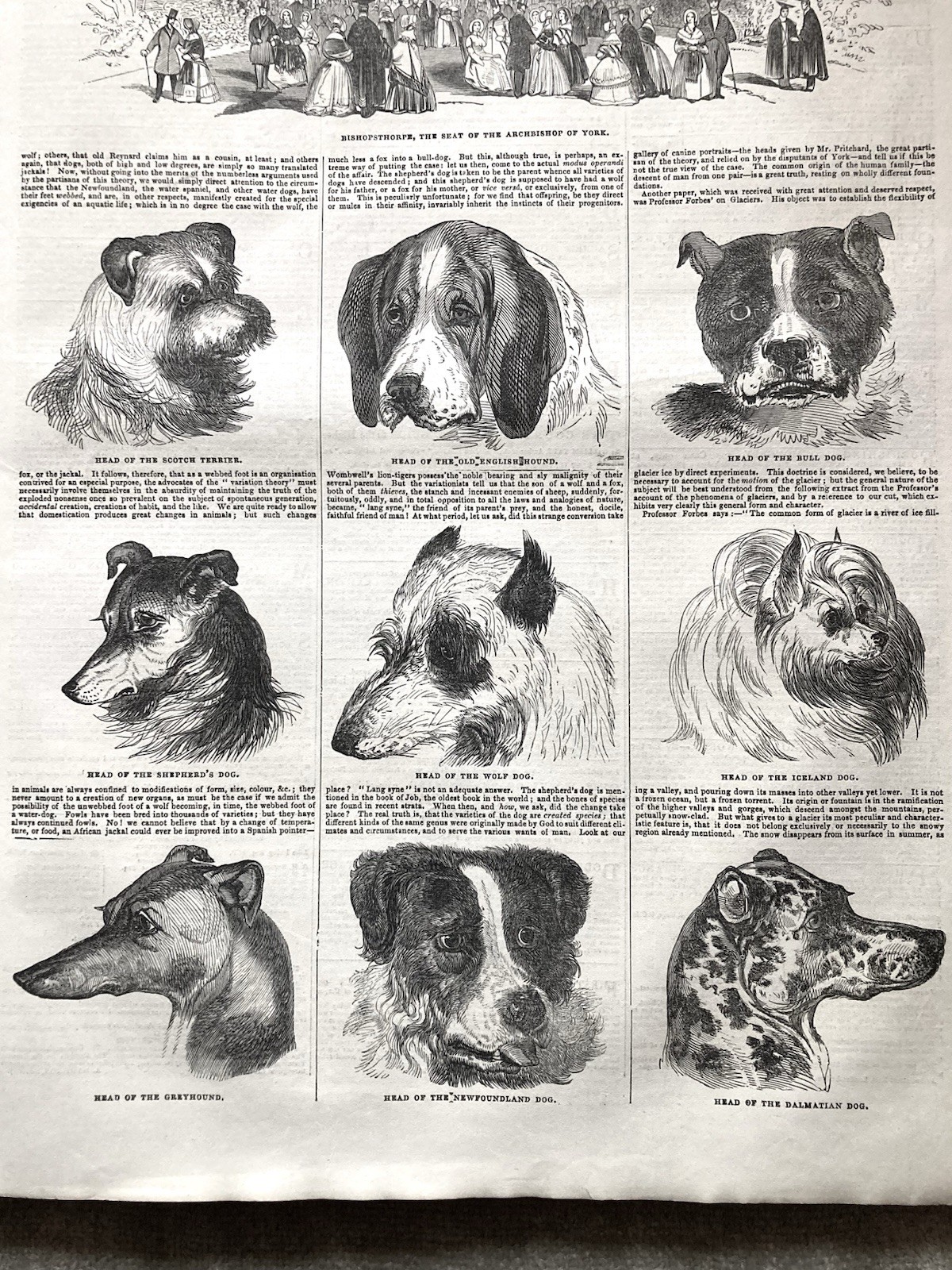 London Illustrated News, 1844, July-Dec., Politics, Arts, Culture, Illustrated