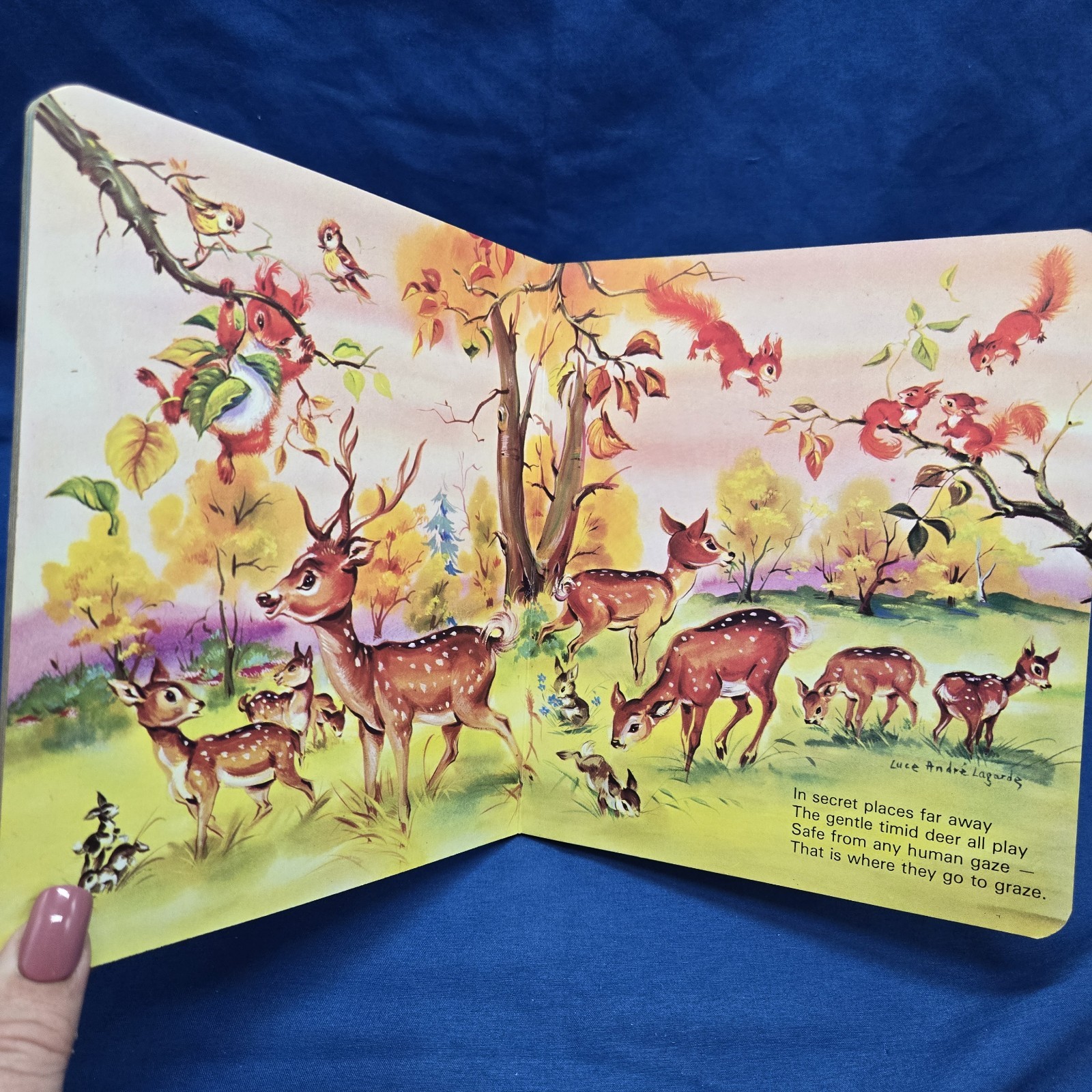 Vintage Day Forest Board Book Children Animals Nature Woodland Elementary Story