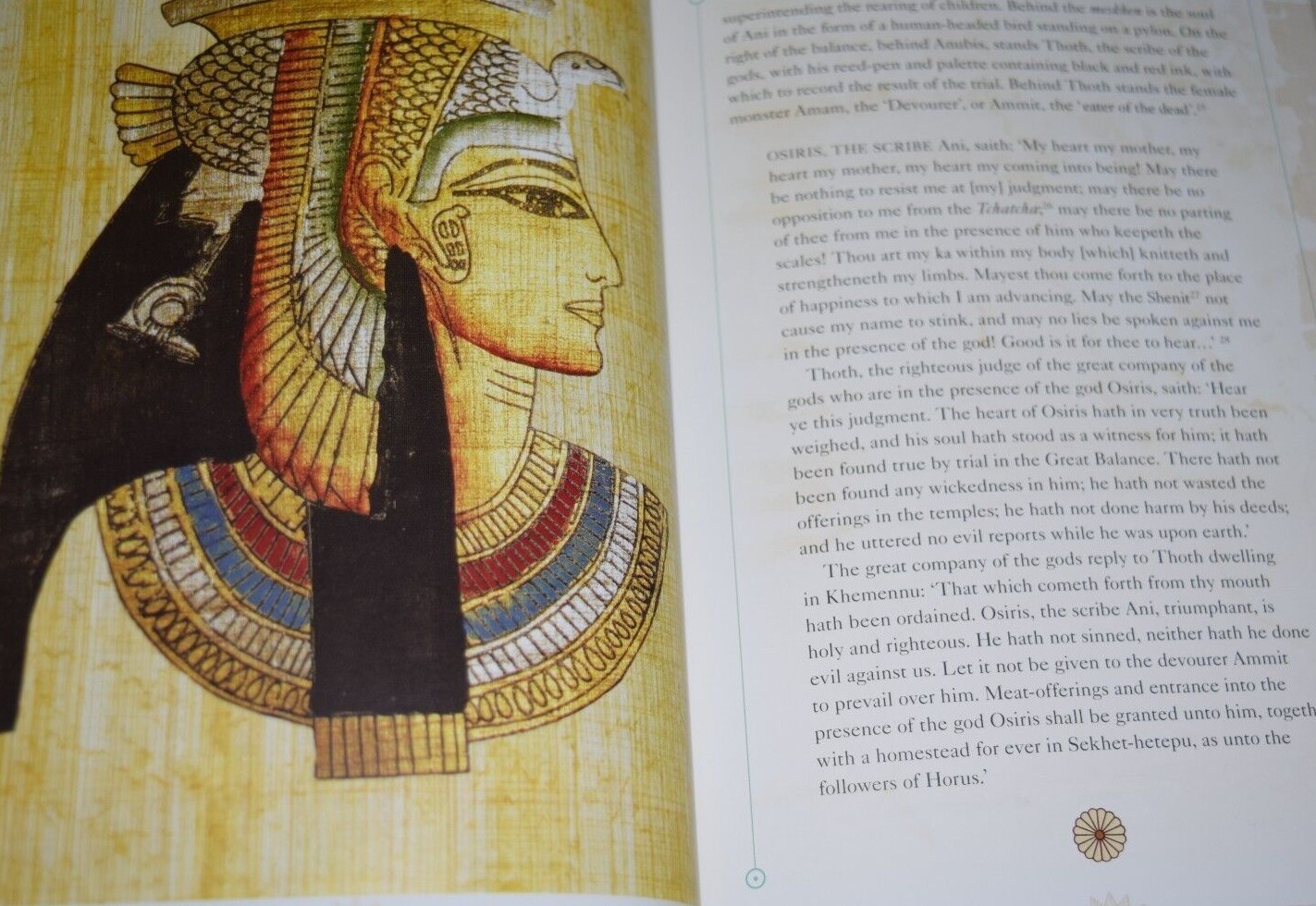 NEW Egyptian Book of the Dead Illustrated Hardcover Deluxe