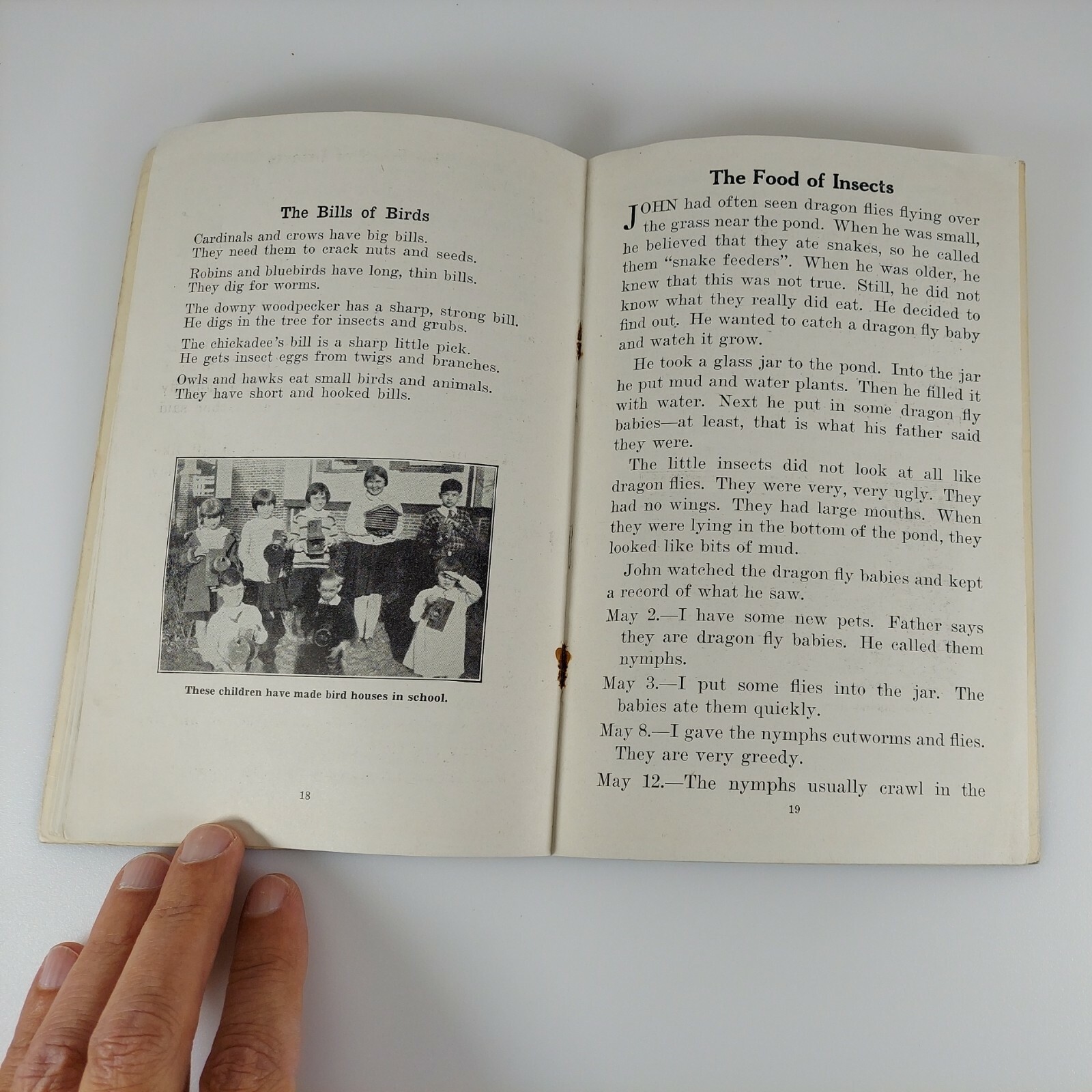 What Animals Eat, Frances Lacy, Unit Study Book No. 355, 1943 Education Book