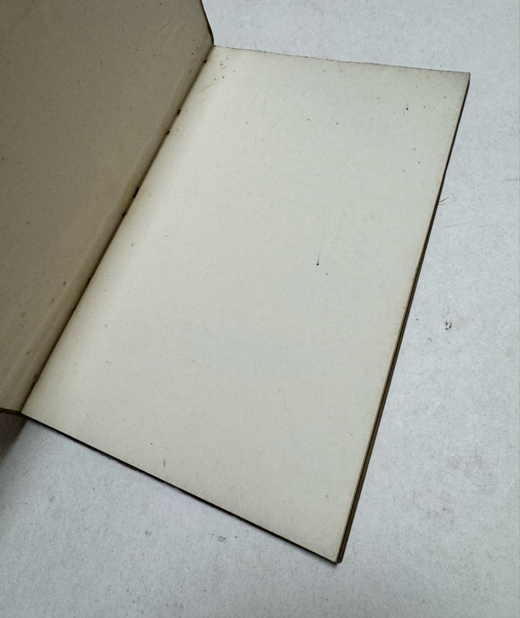 Antiquarian Art Book – Engravings and Etching by Durer – 1929