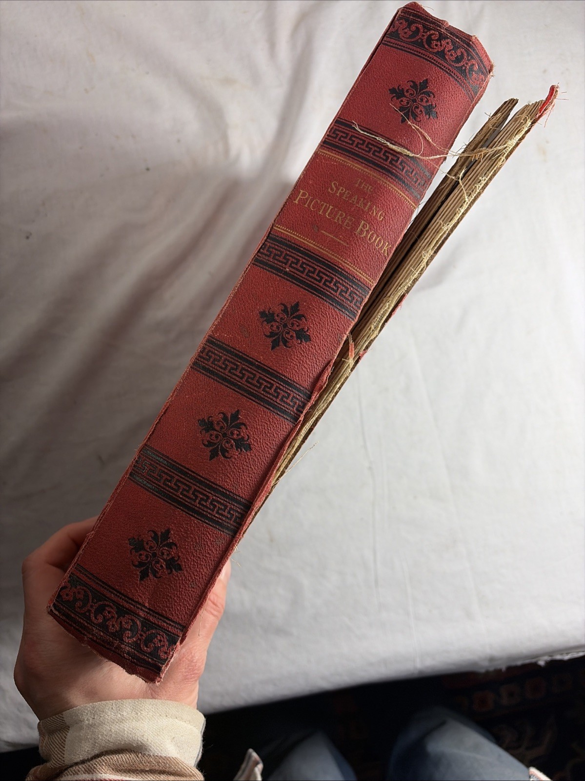 THE SPEAKING PICTURE BOOK New Ed. LONDON H. GREVEL Antique Victorian Germany
