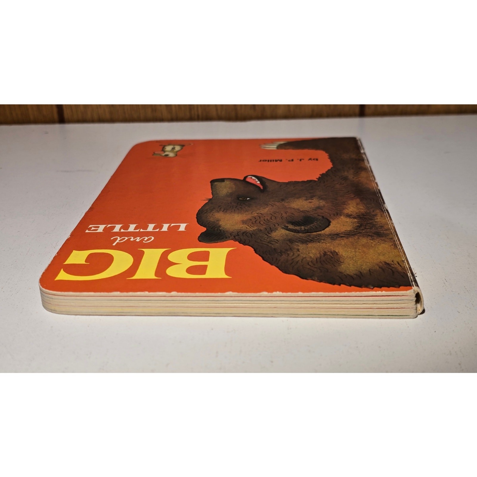 Vintage Random House Big and Little Board Book J P Miller Vintage 1976 Animals