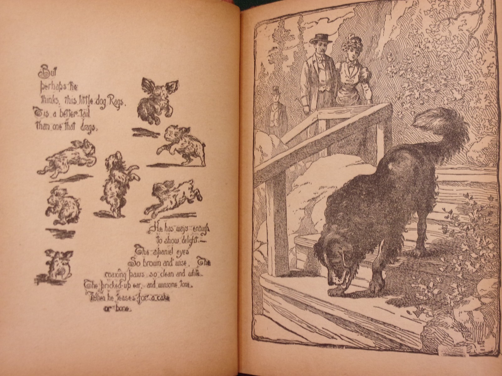 (Victorian Child’s Book) CAT & DOG CHUMS, Chicago, Homewood Pub. Co., Ca. 1900.