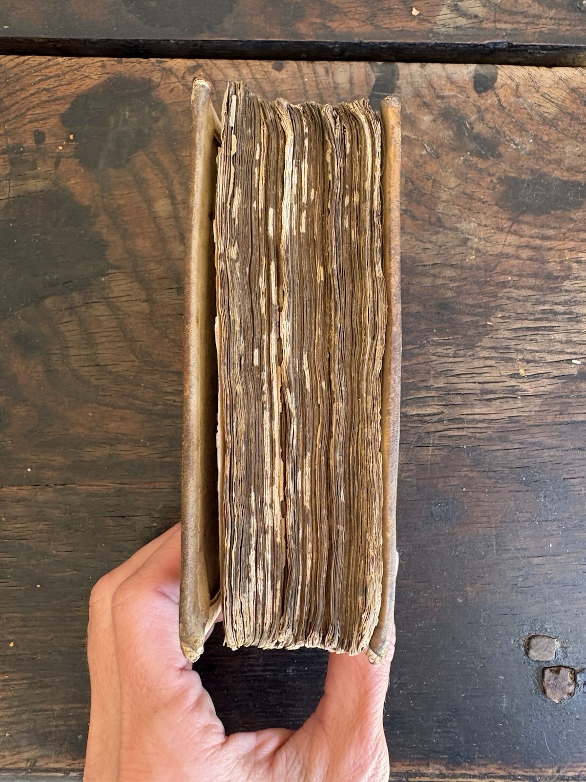 Des Heeren Lof, Verkondigt uit den Mond der Kinderen Antique Book 1765