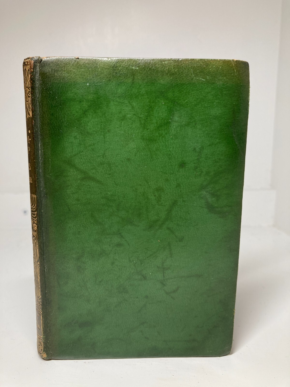 ART NOUVEAU LEATHER BINDING c.1906 | SMITH “DREAMTHORP” | GILT SPINE