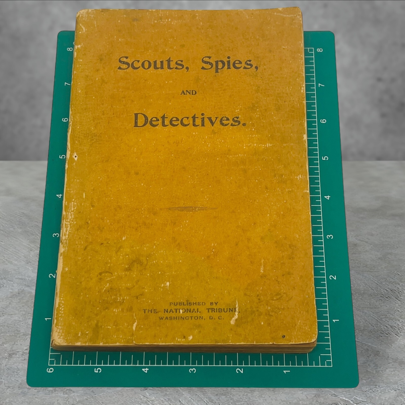 Scouts, Spies and Detectives of the Civil War Joseph Powers Hazelton 1st 1899