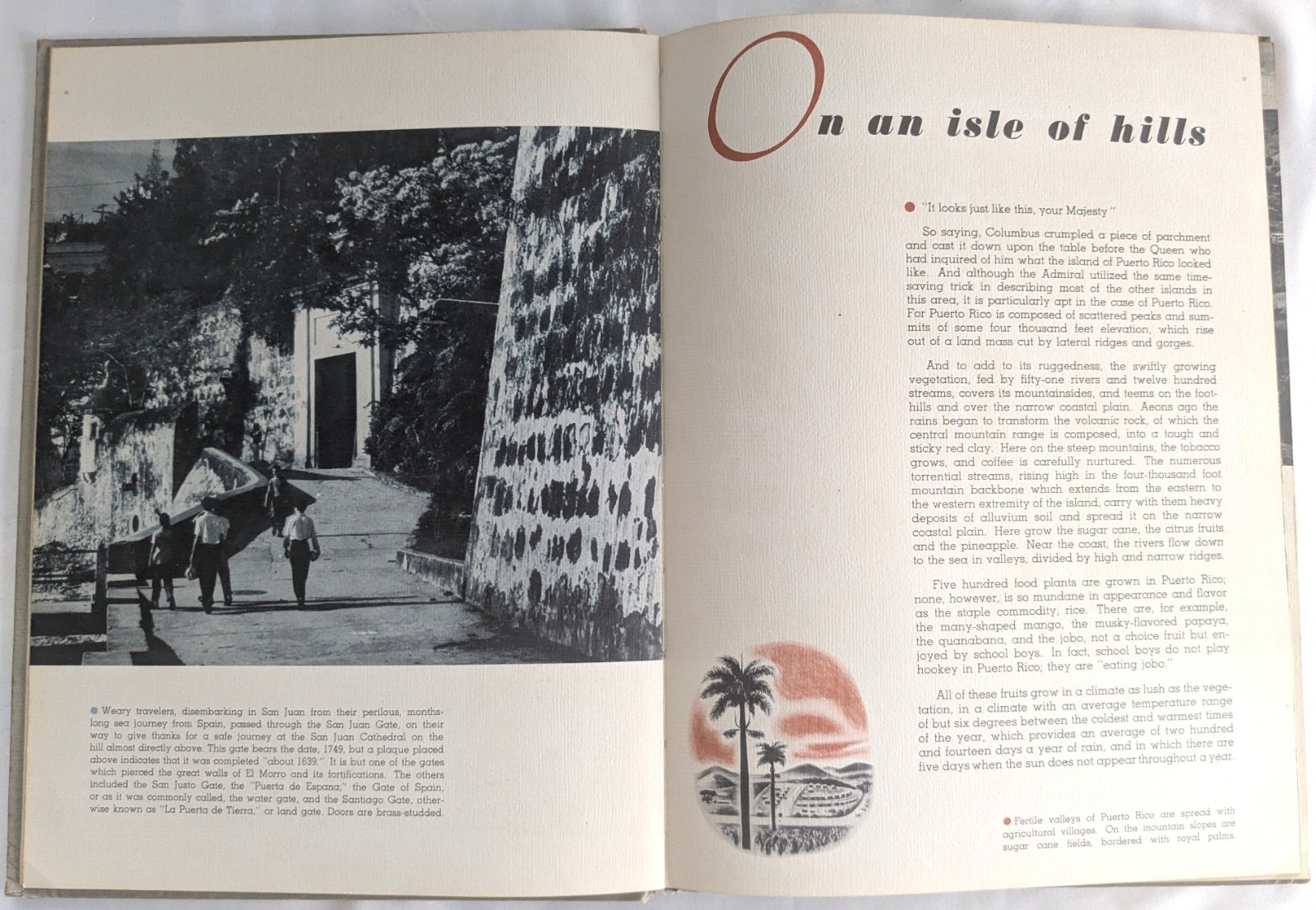 Puerto Rico United States Army Air Forces Borinquen Field 1945 History Culture