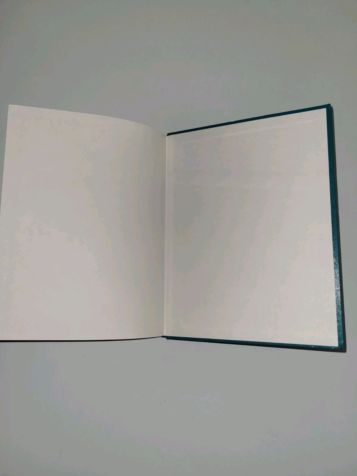 Shining As Illuminators In The World 2010 Edition Watchtower Pioneer Book