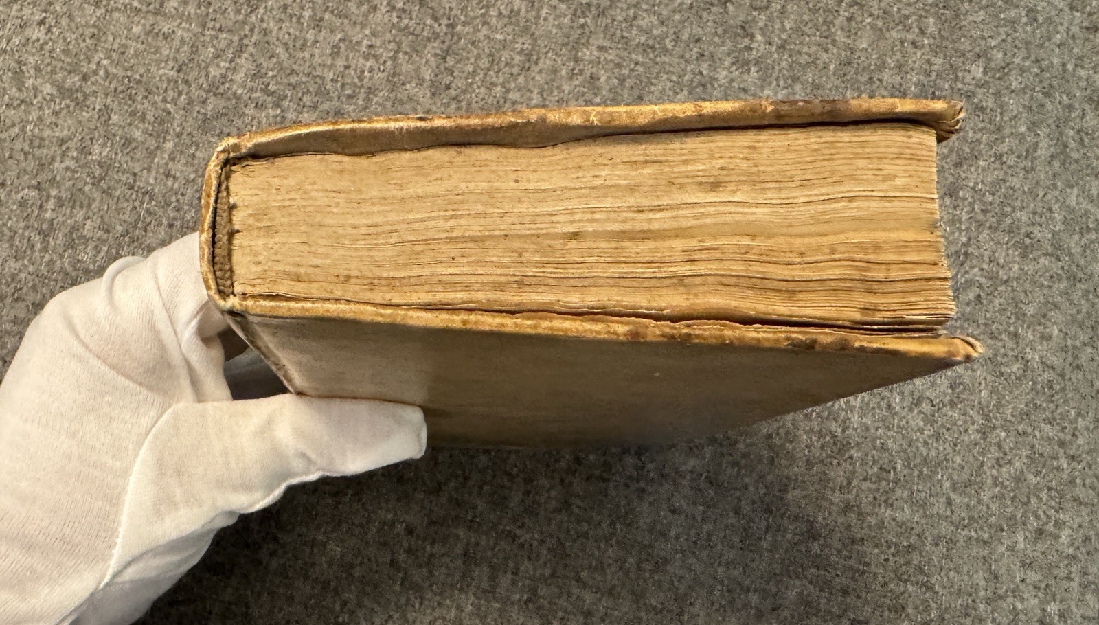 Rare 1767 Francesco Maria Molza Italian Poetry Vellum Bound Book Bergamo