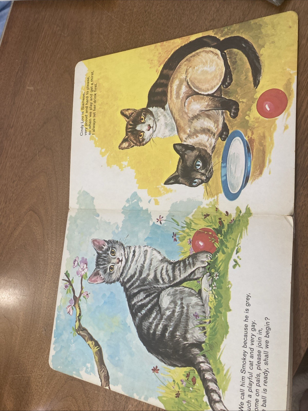 My Friends: Cats Treasure Hour Large Vintage Children’s Board Book 1976