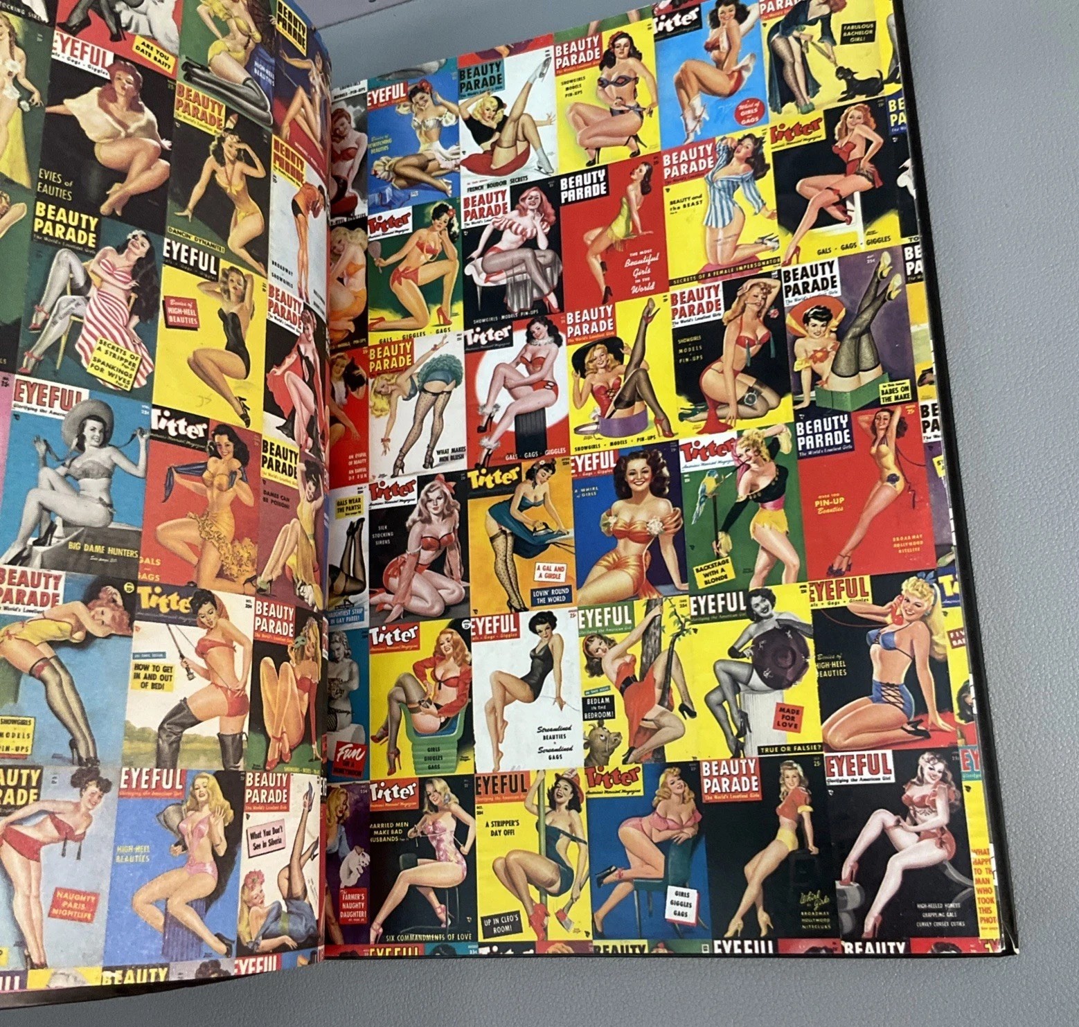 pin-ups TASCHEN ICONS ART BOOK 2002 erotic Vtg adult art betty page Book