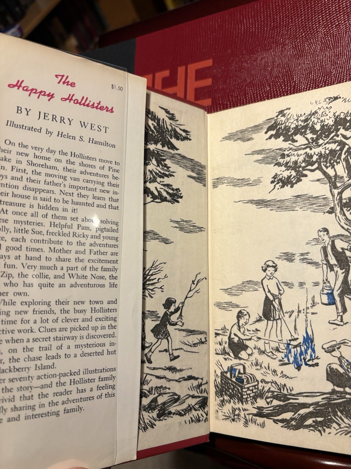 The Happy Hollisters Hardcover With Dustjacket Jerry West Doubleday