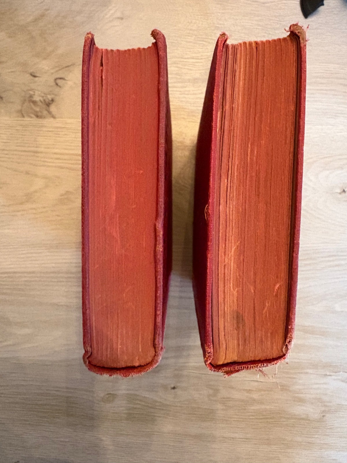 2 Vintage Honey Bunch books by Helen Louise Thorndyke – Collectibles 1923