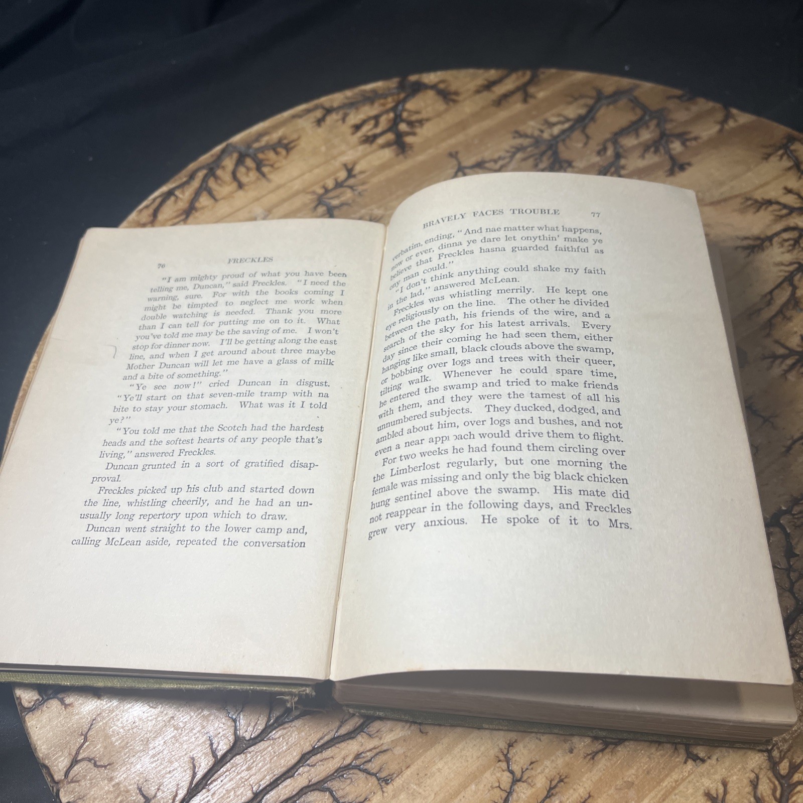 Freckles Gene Stratton Porter 1904 Vintage Antique 1st Edition for Young Adults