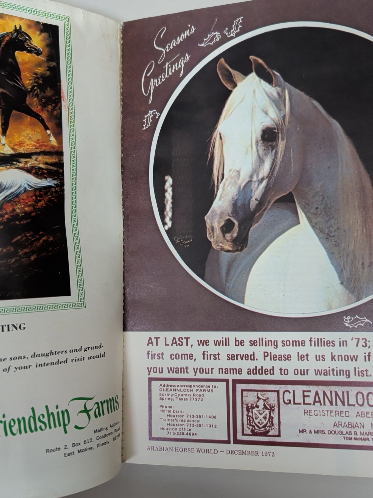 The Arabian Horse World Magazine December 1972 Vol 13 No 3
