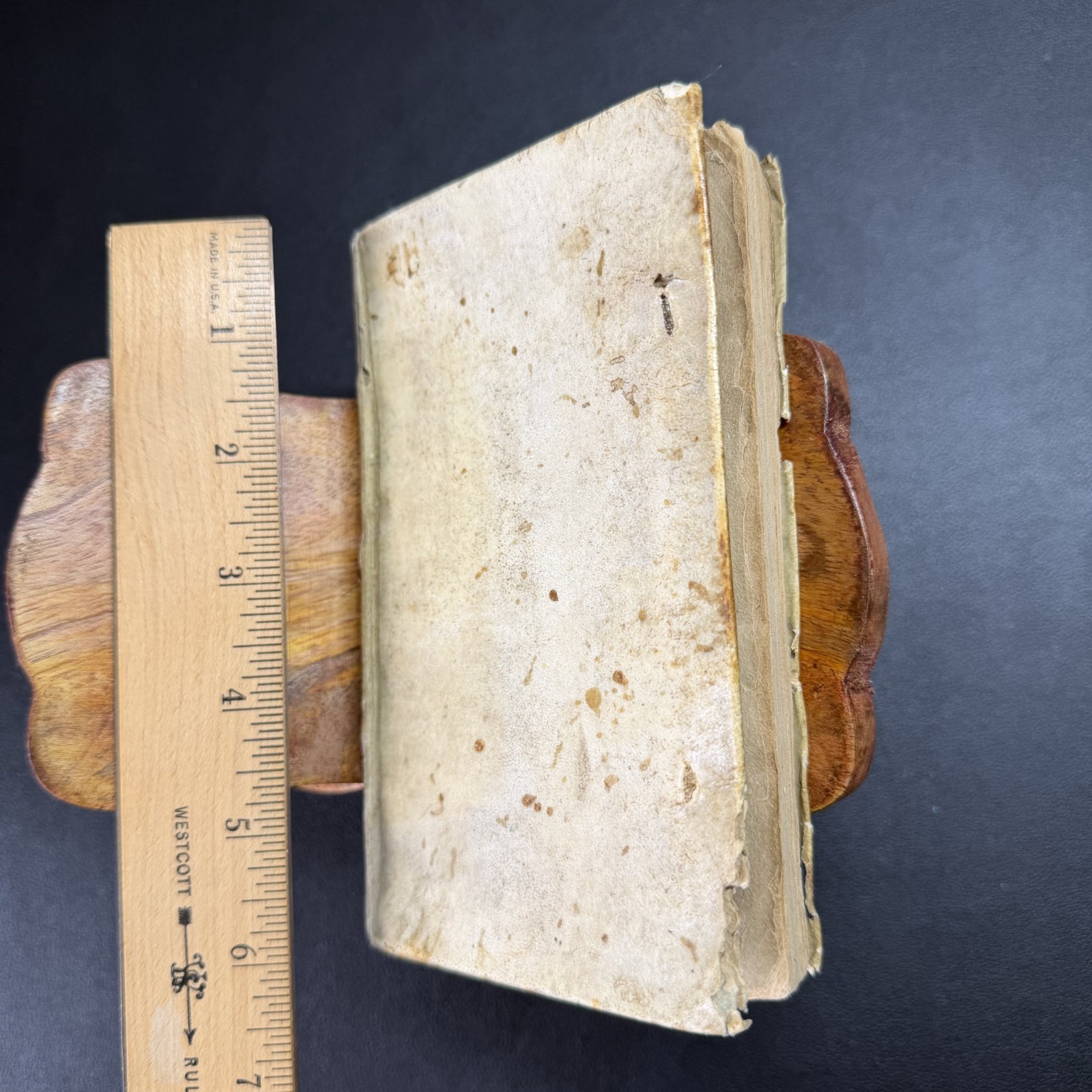 1619 Reifenberg Monita Politica & Satyricon Latin Vellum 1st Ed