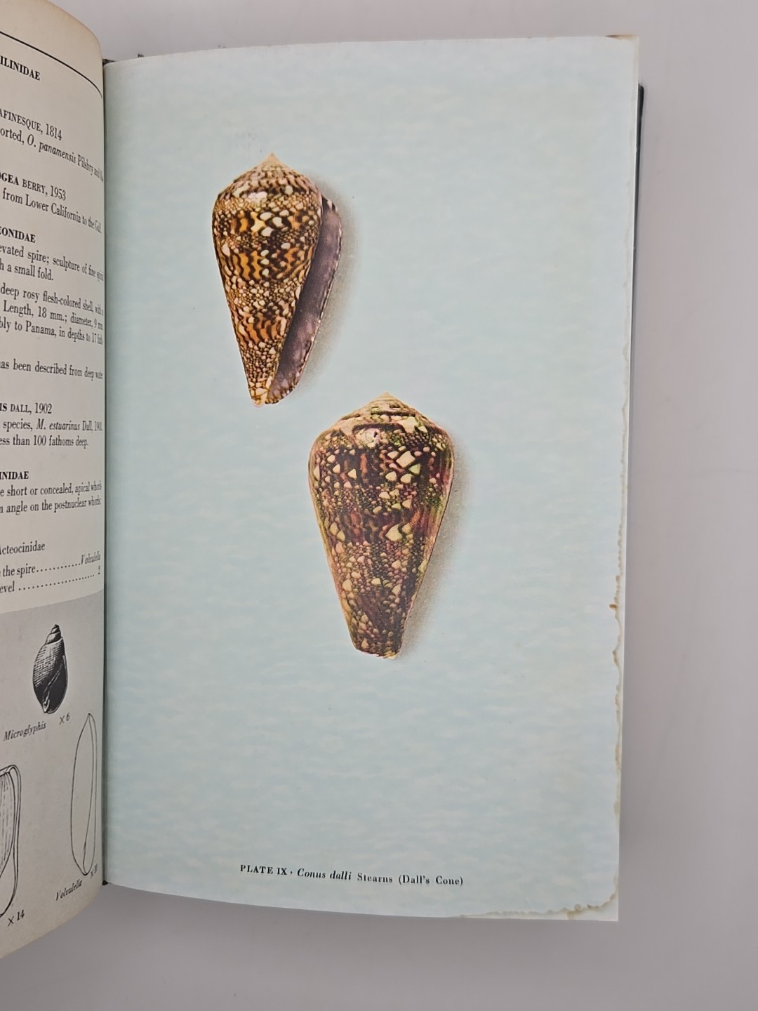 Sea Shells of Tropical West America Keen 1960 Stanford University Press 1960 HC