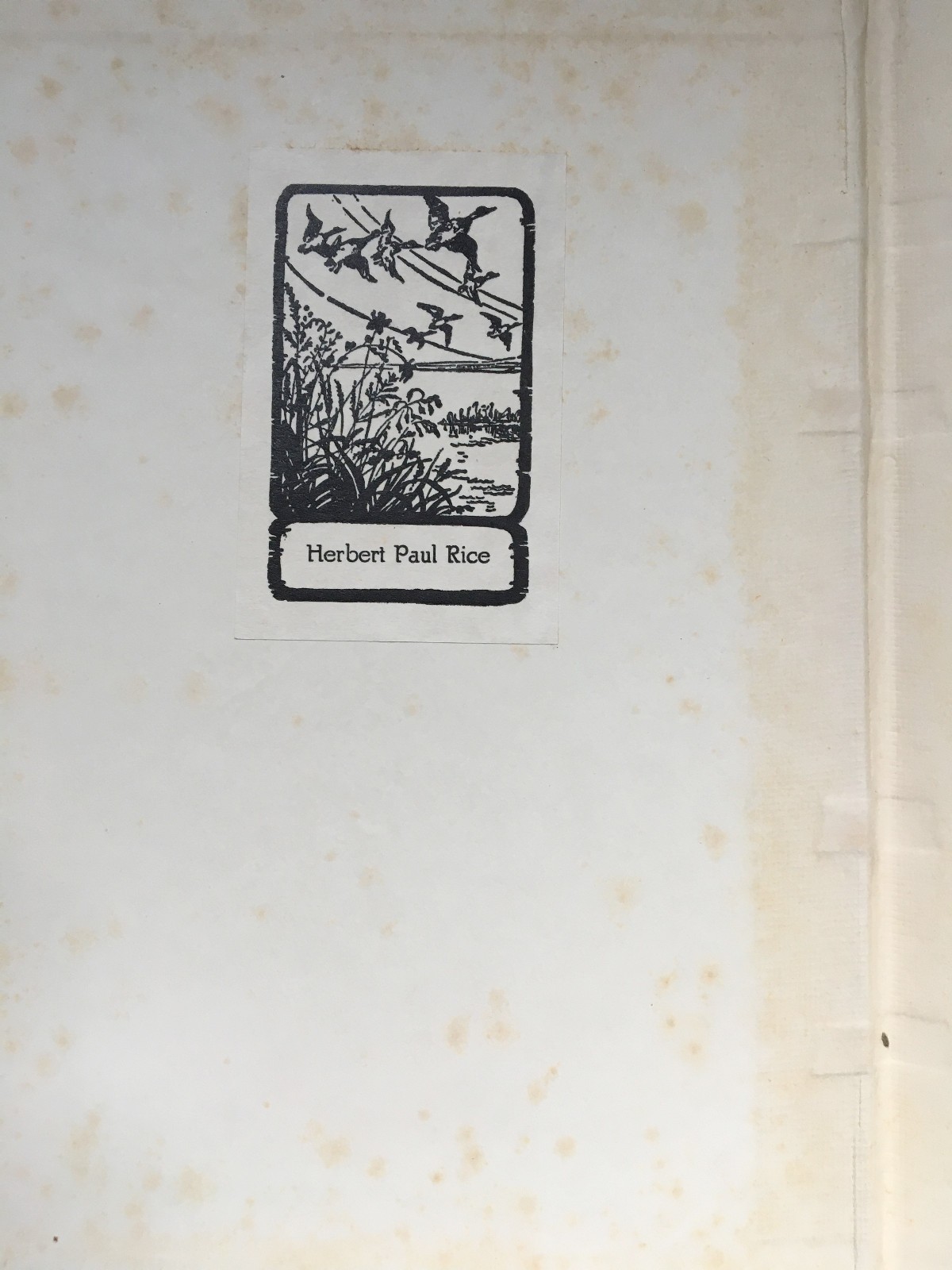 1937 Camille Alexandre Dumas Limited Editions Club Signed by Marie Laurencin