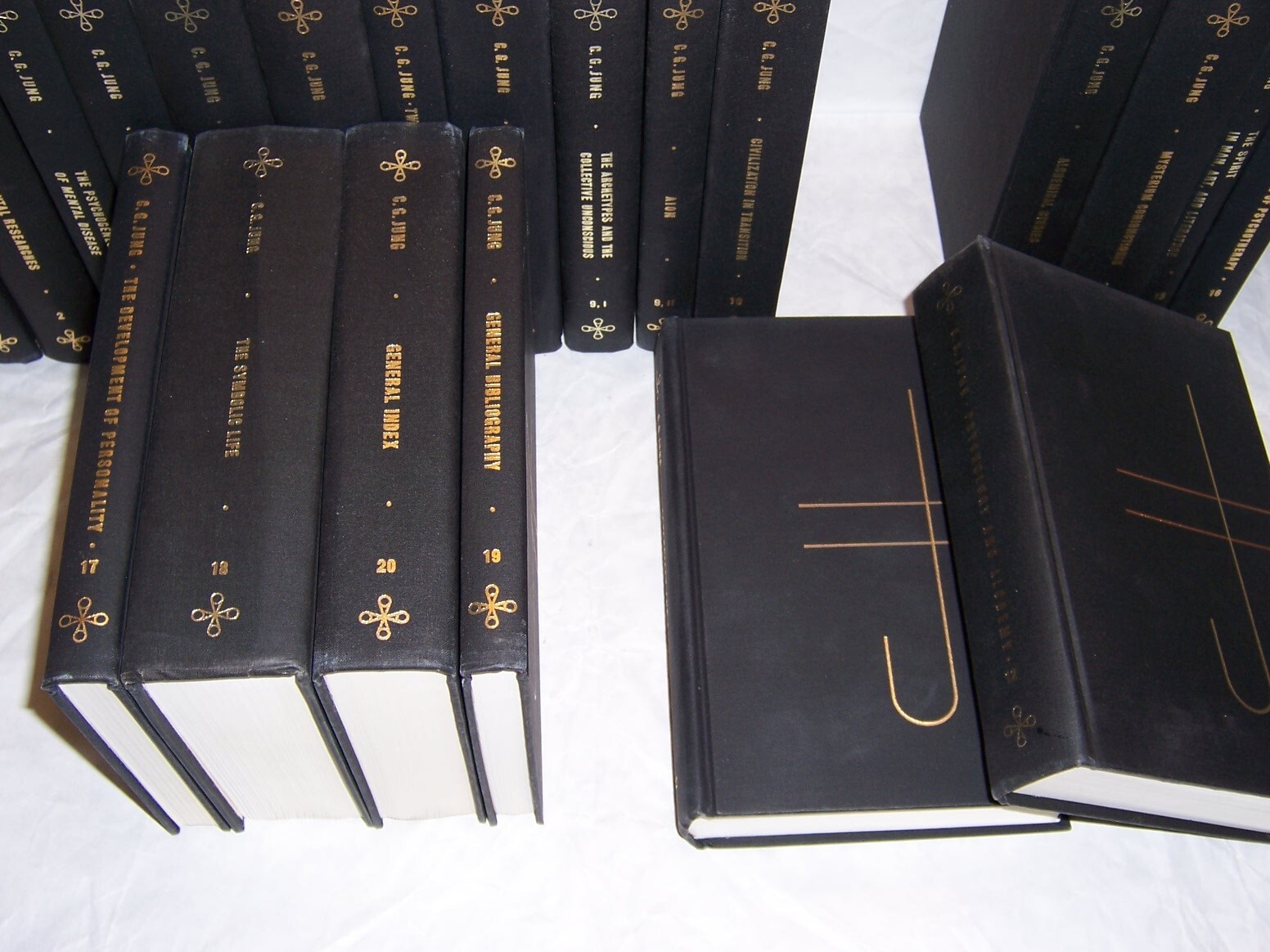 Princeton Univ. Press collected works C G JUNG 20 volumes in 21 books (complete)