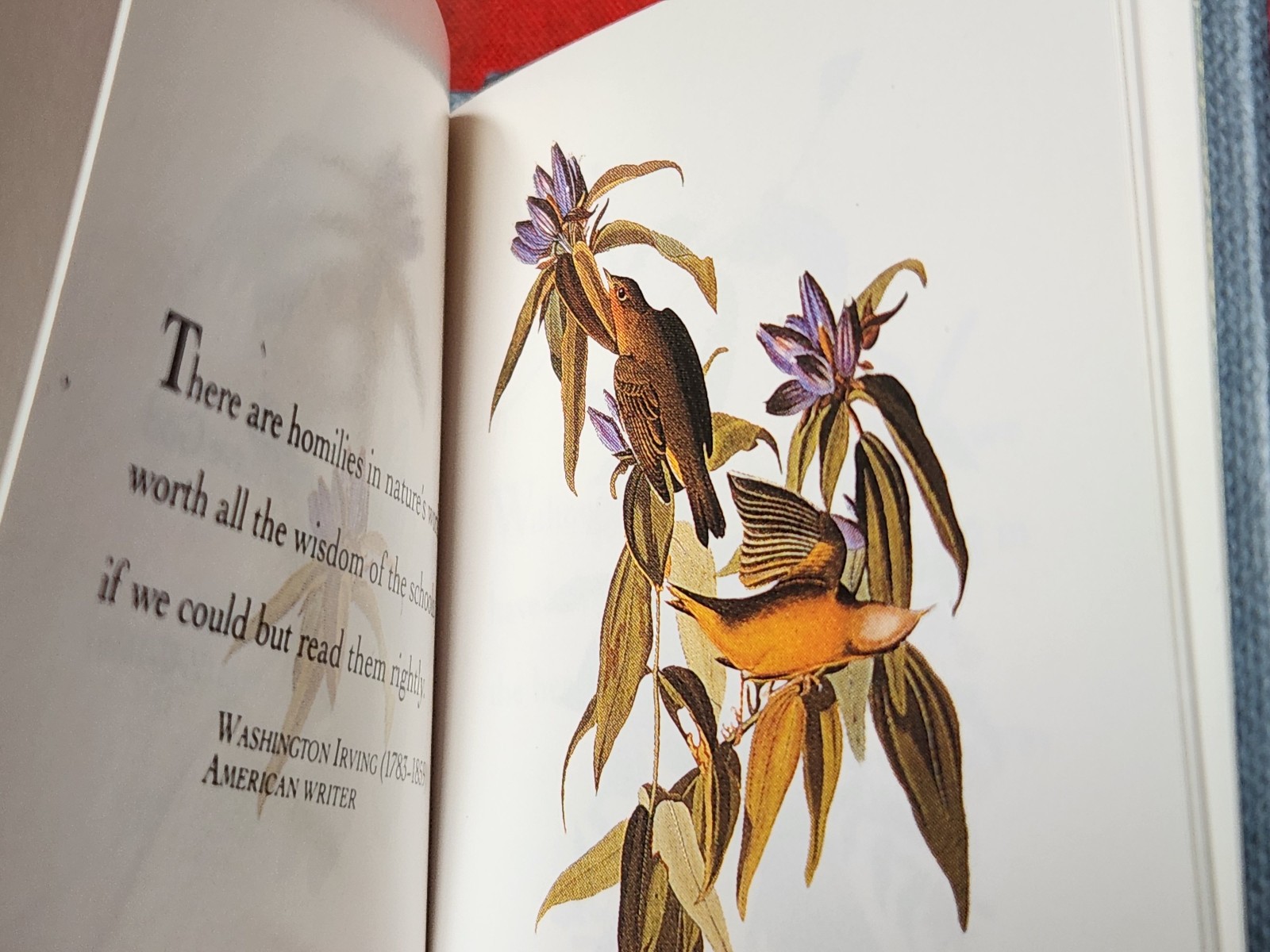 Running Press Mini Book Audubon’s Birds Hard Cover Color Illustrations 8v6