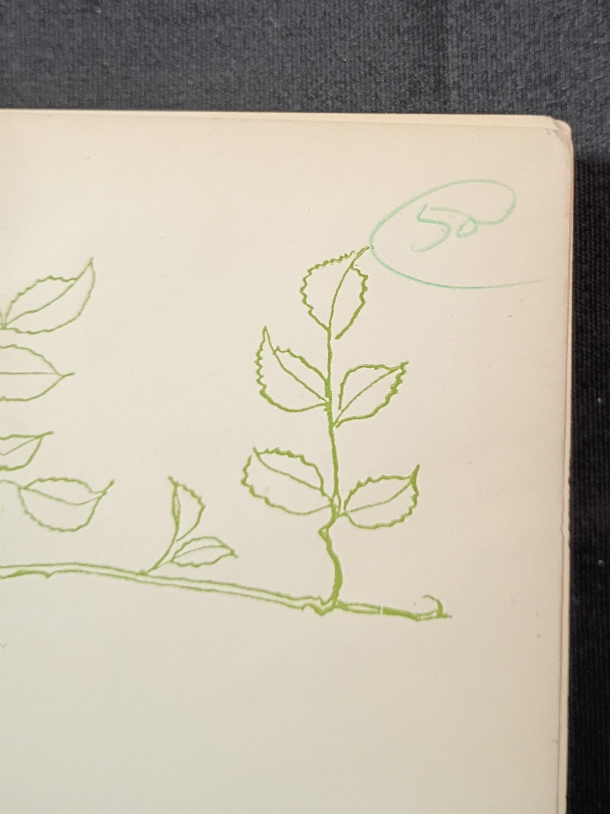 1909 Undine by Fouque, illus. by Rackham, 1st Eng. ed. 15 color plates. Beauty!