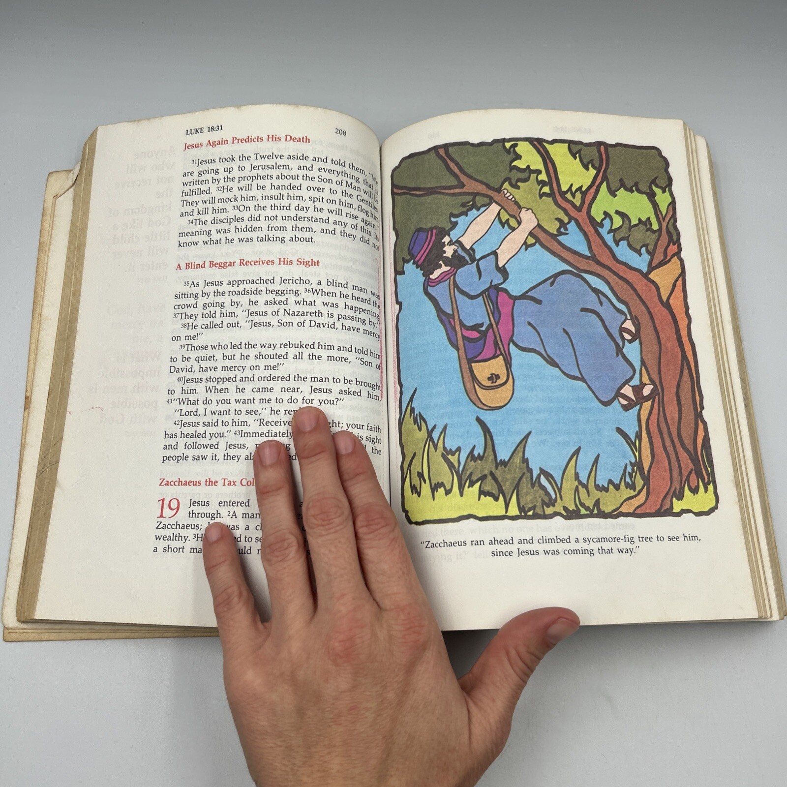NIV New Testament Illustrated Children’s Edition Memory Margin Zondervan Bible