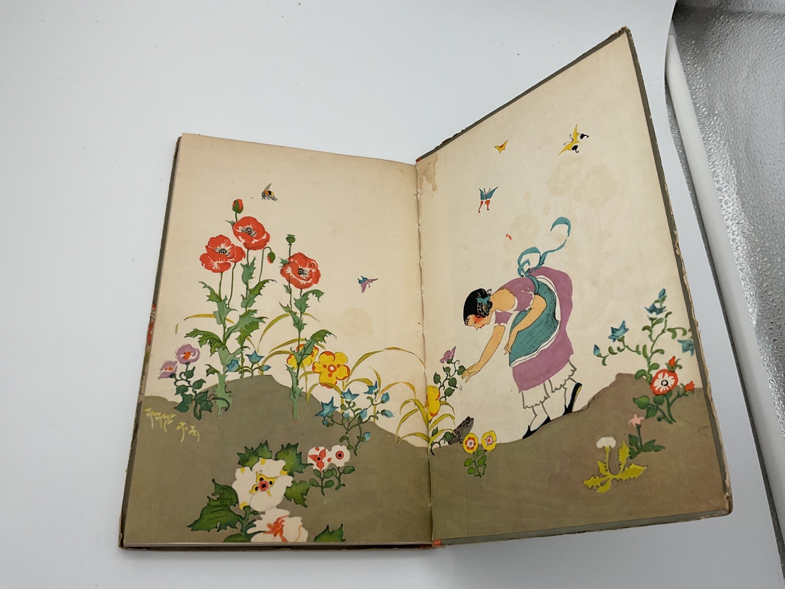 1920 The Turned-Into’s Elizabeth Gordon Juvenile Fiction Fantasy Children Book