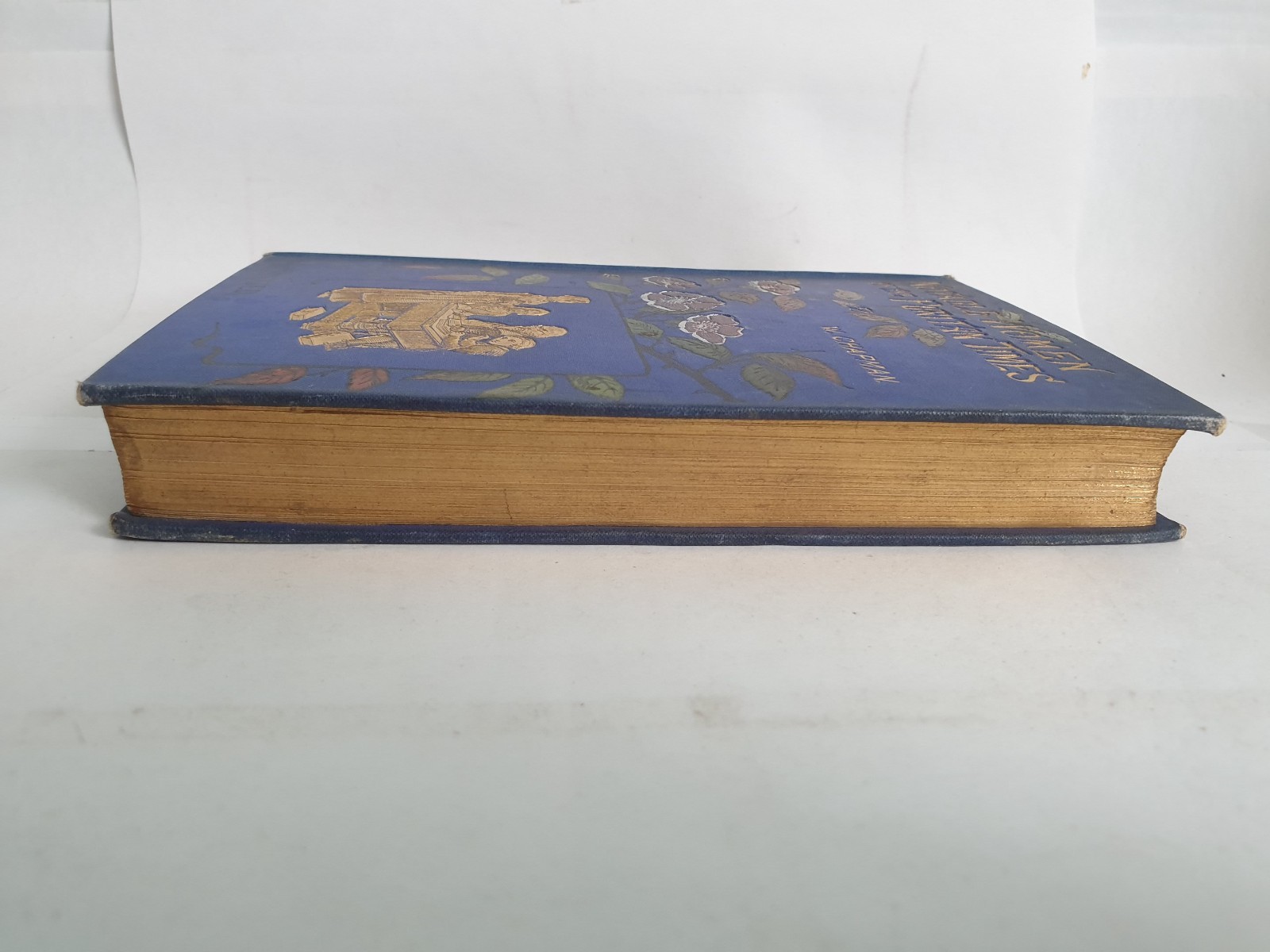 Notable Women of the Puritan Times by William Chapman, 1887 2nd edition, HBK