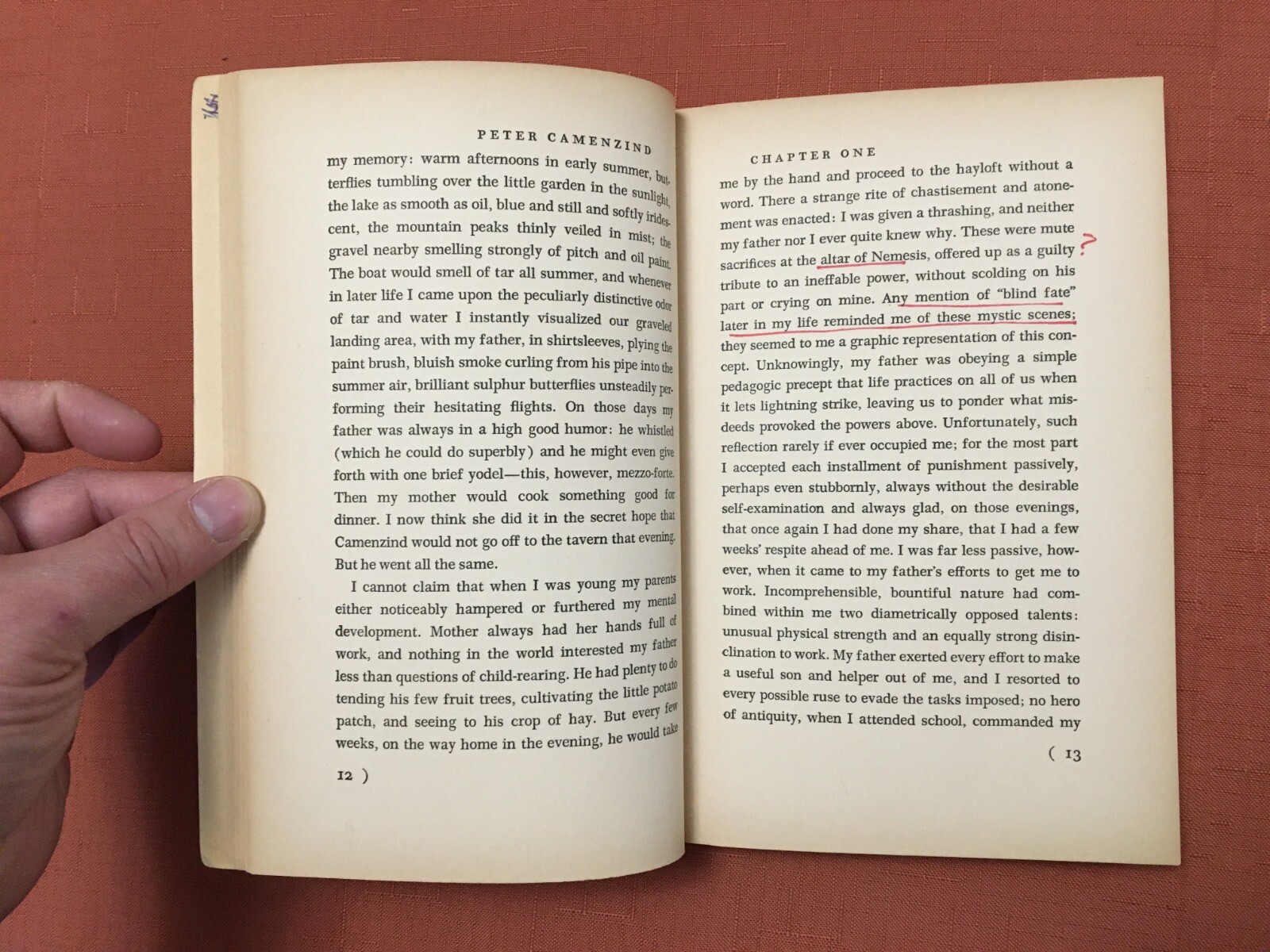 Peter Camenzind – by Hermann Hesse – 1969 – 3rd Print, Softcover – FSG Edition