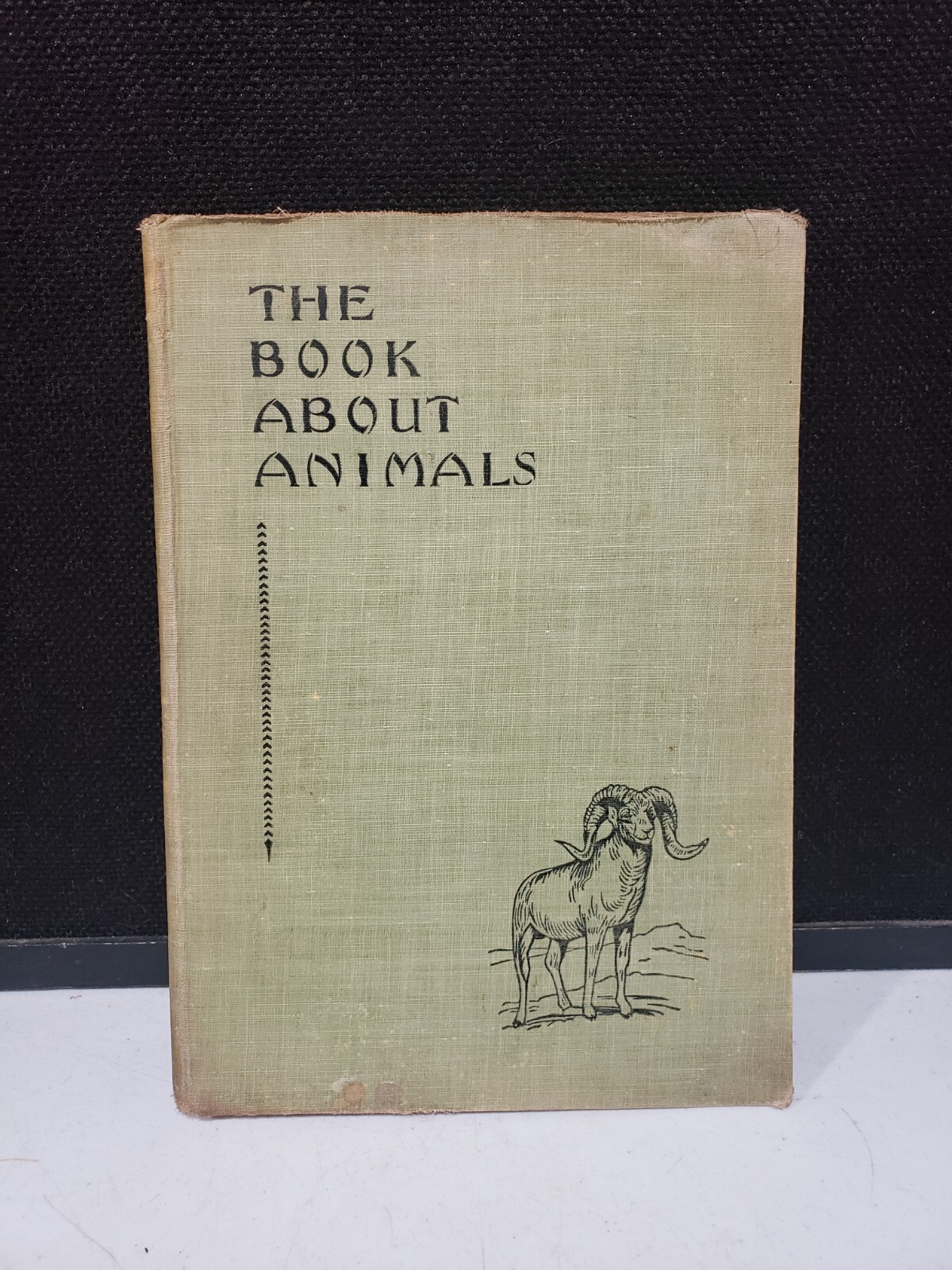1933 The Book About Animals Frederick Warne 1st Edition Hardcover GREAT BRITAIN