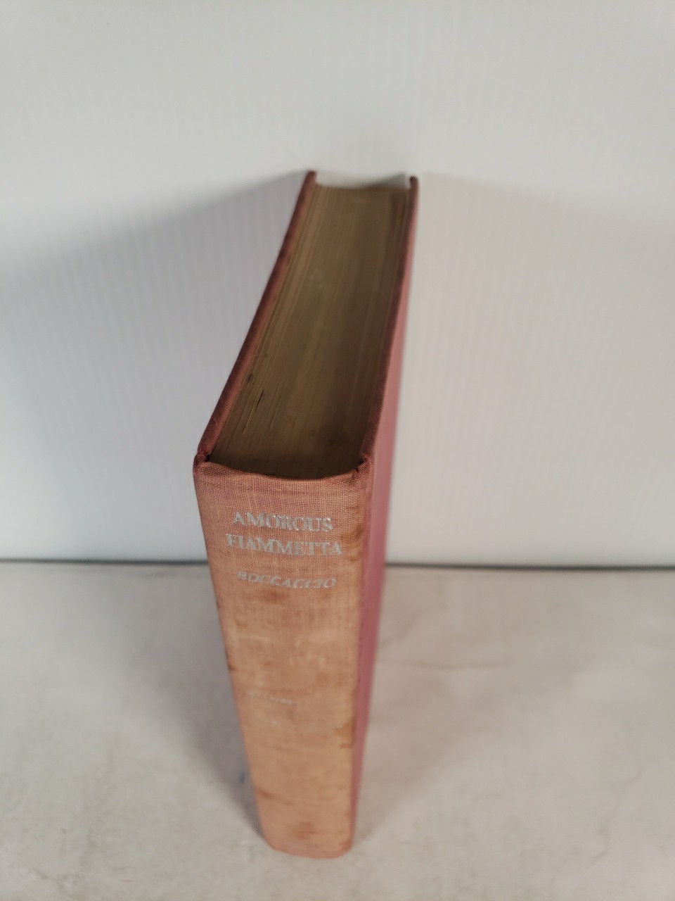 Amorous Fiammetta by Giovanni Boccaccio (1931 – Translated and Revised)