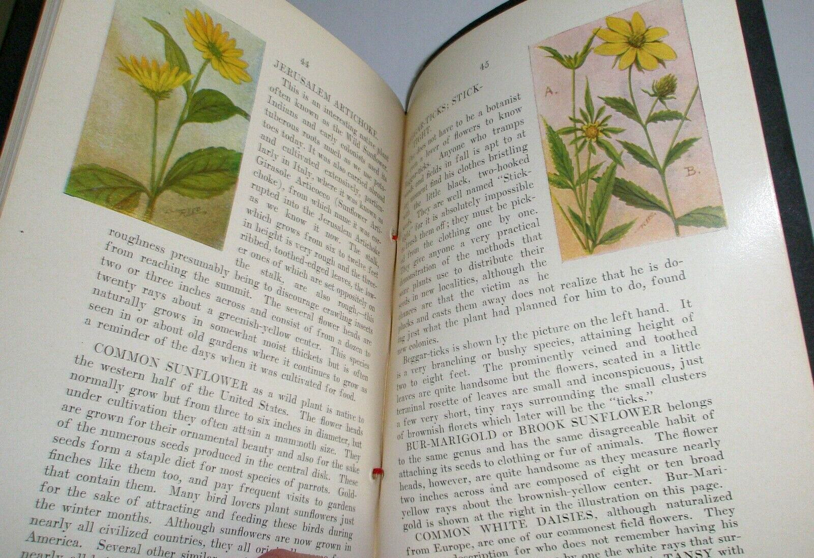 Wild Flowers of New York 1912 Chester Reed Mohonk Lake NY Illustrated w/box
