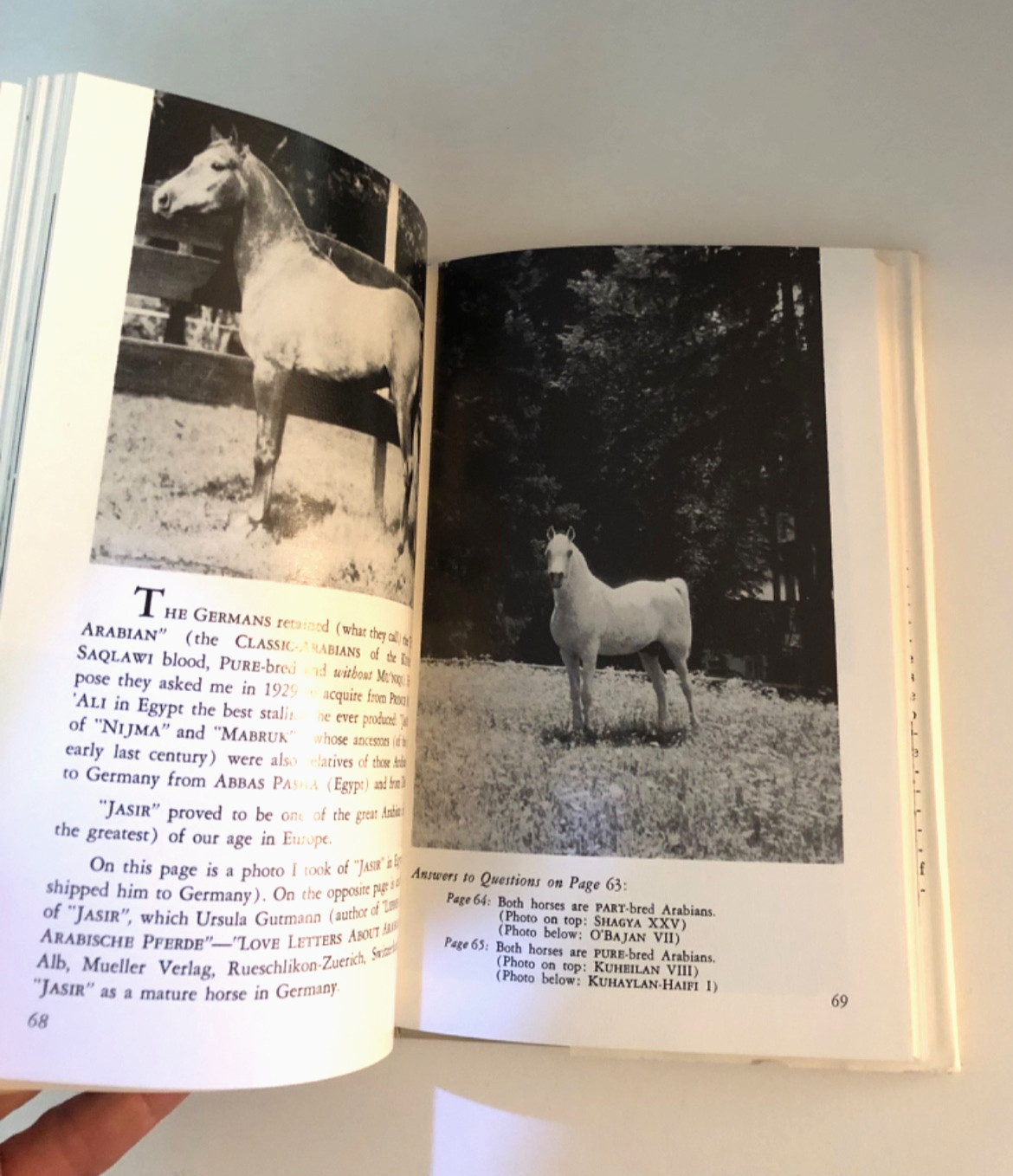 Carl Raswan THE ARAB AND HIS HORSE 1992 Reprint Hardcover