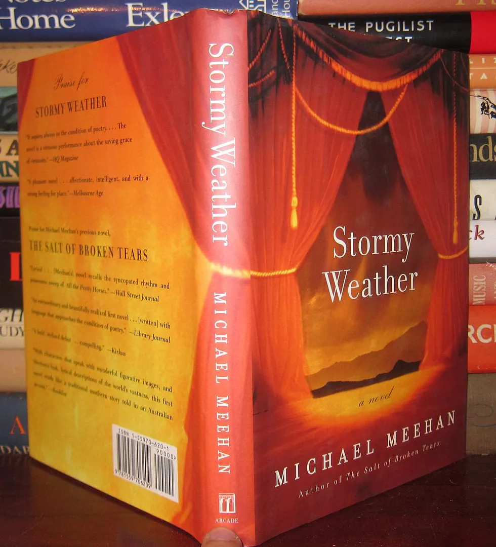 Meehan, Michael STORMY WEATHER 1st Edition 1st Printing