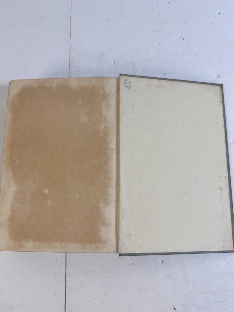 Zelda Dameron by Meredith Nicholson – 1904 Complete 1st Edition Bobbs-Merrell HC
