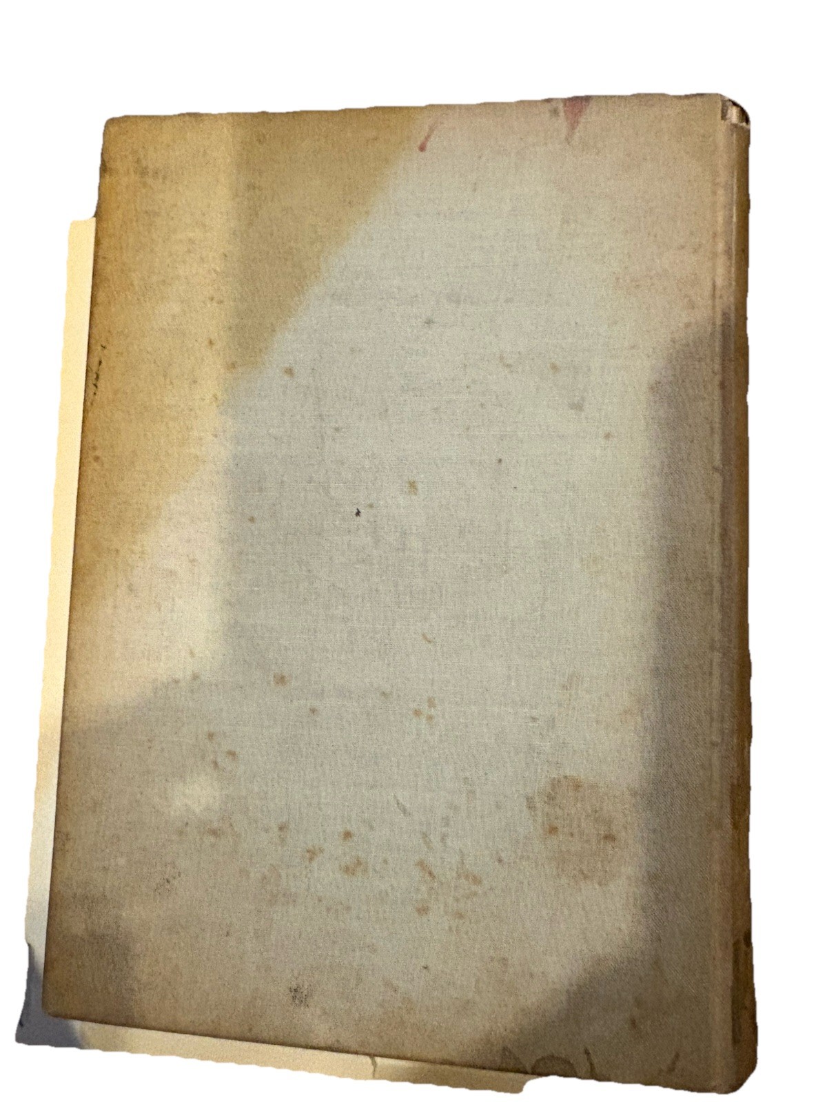 Antique 1880 Wedding Etiquette and Usages of Polite Society Dempsey & Carroll NY