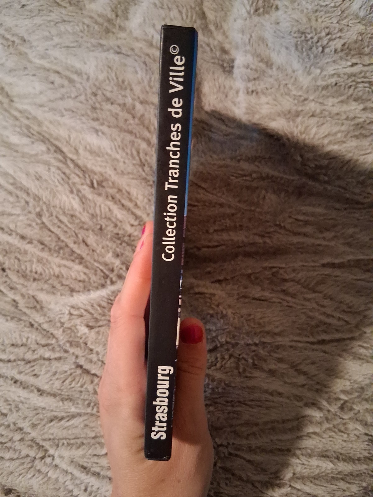 Strasbourg Pascale De Srebnicki Collection Tranches De Ville Hardcover Book