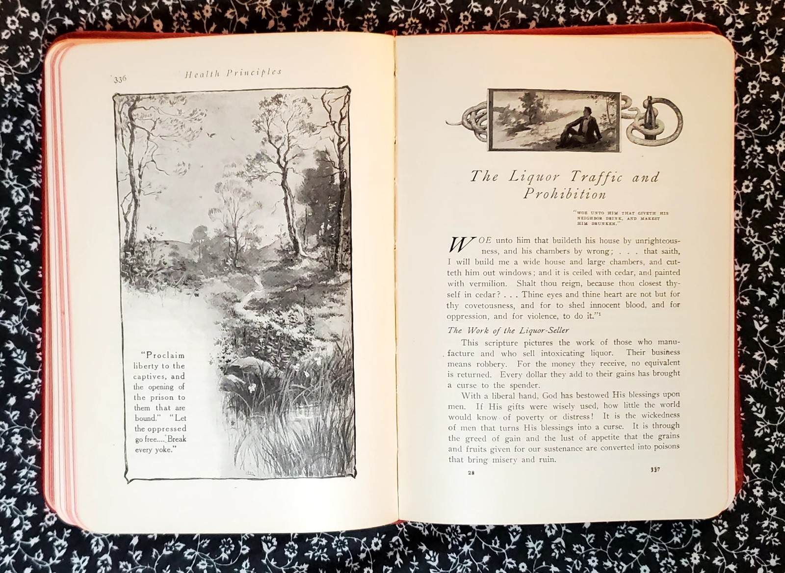 The Ministry of Healing, Ellen G. White, 1909, Faux Leather