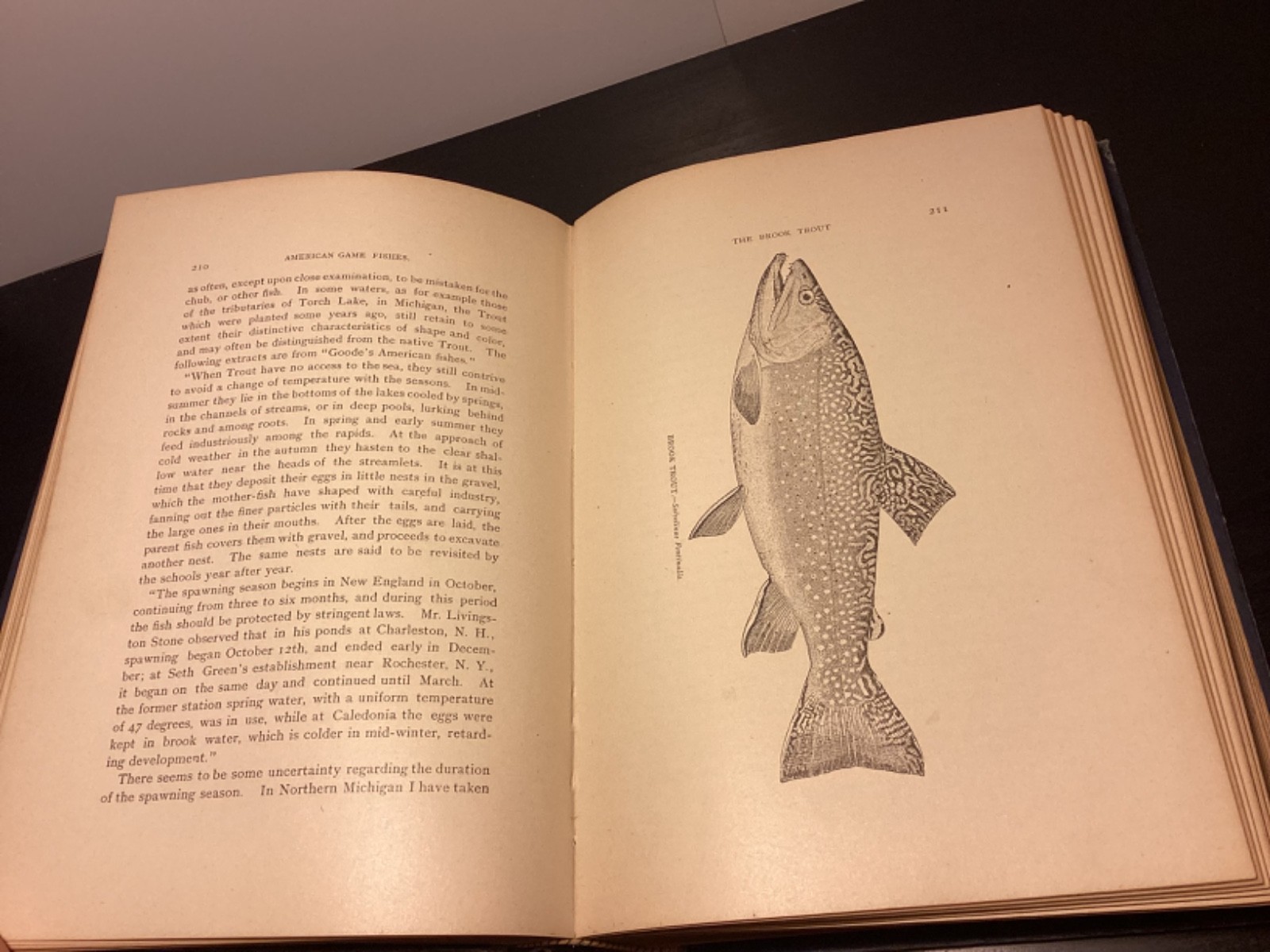 1892 American Game Fishes – Rand McNally Illustrated Work