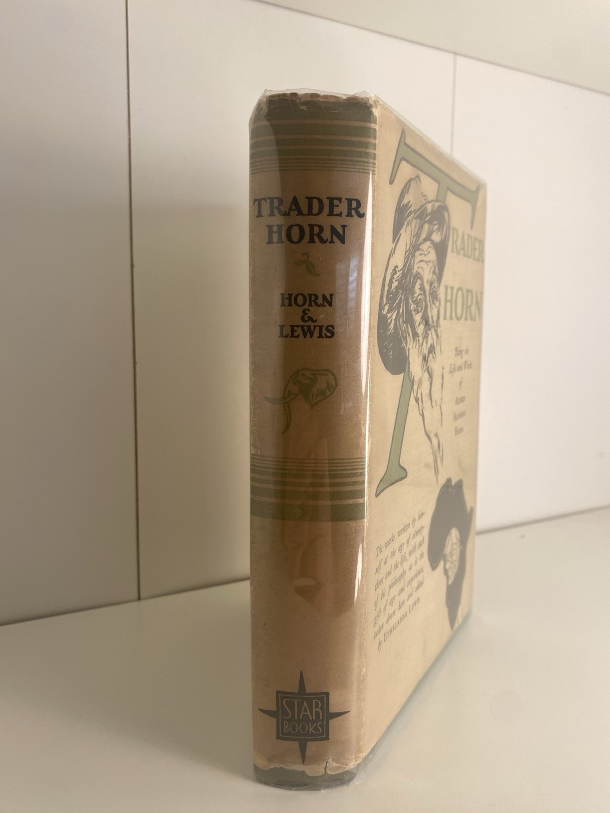 1st Ed Trader Horn Life & Works of Alfred Aloysius Horn Ethelreda Lewis 1927