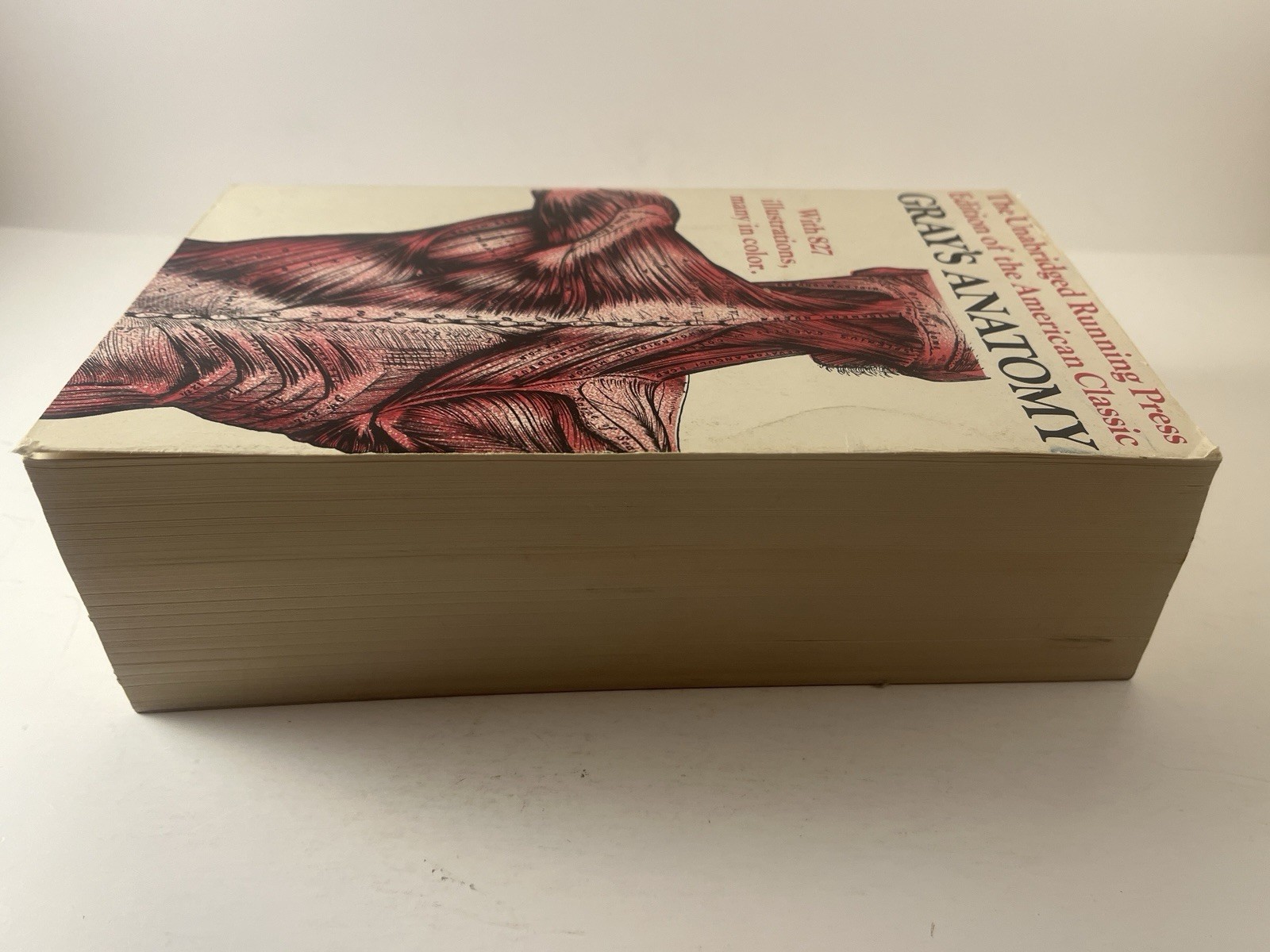 Gray’s Anatomy Running Press 1901 Unabridged Edition 1974 Paperback 827 Illus