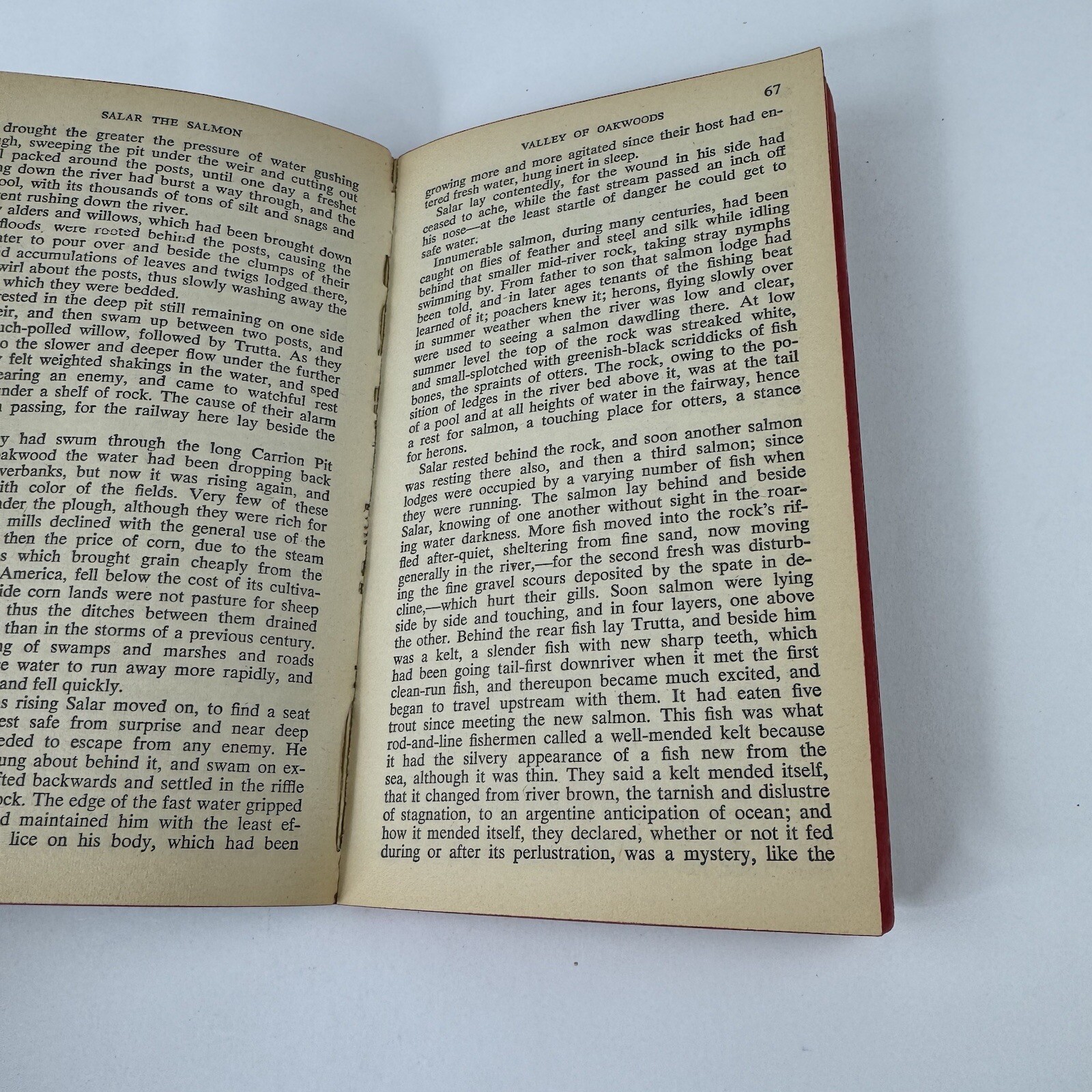 Salar The Salmon by Henry Williamson 1965 Signet Paperback Book
