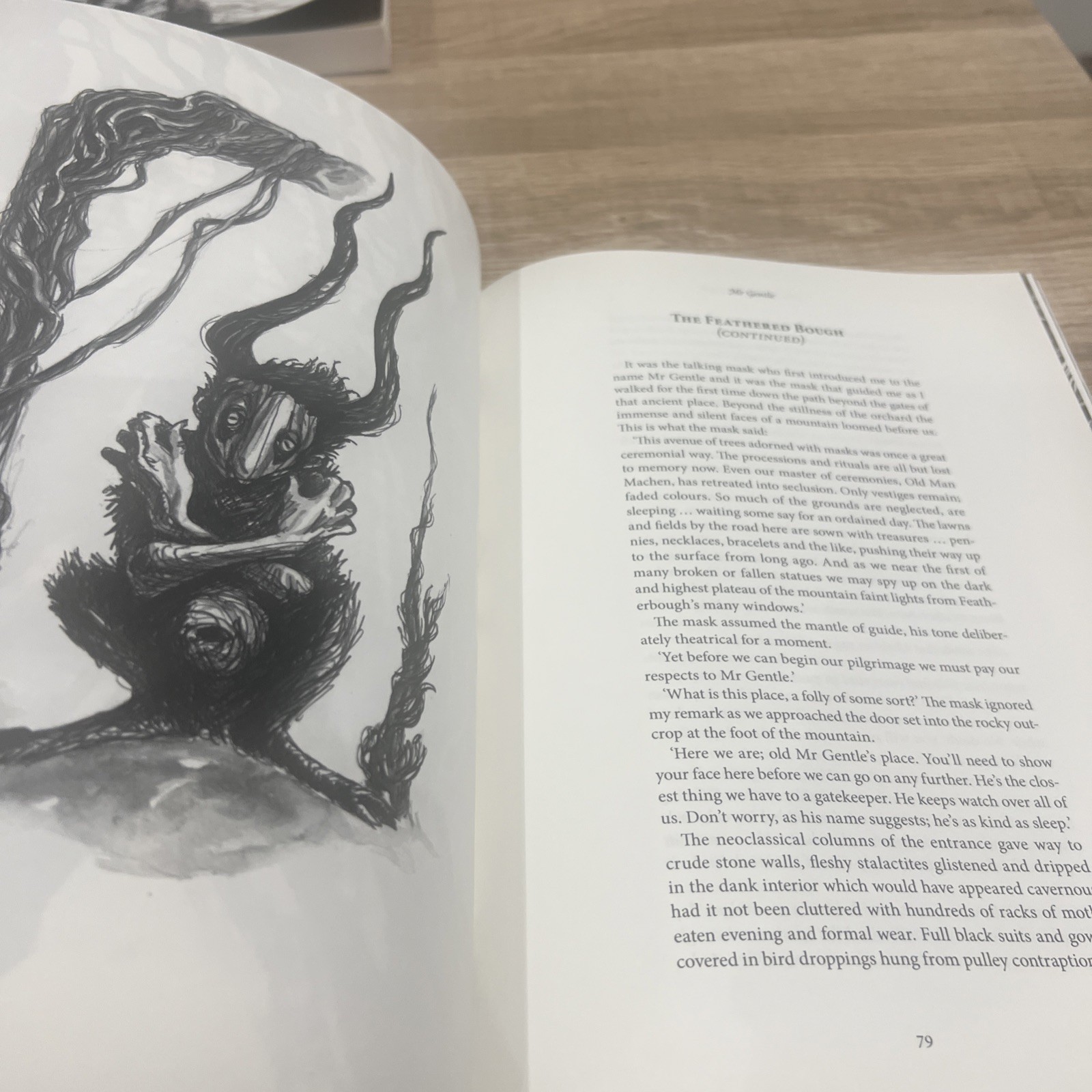 The Feathered Bough – Stephen J Clark – (Zagava 2019) 11 inch Paperback – VGC