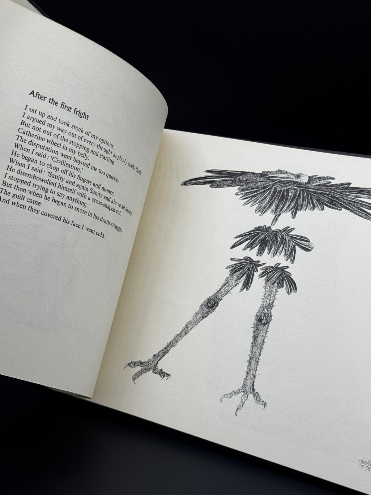 HUGHES, Ted; BASKIN, Lawrence. Cave Birds. Viking Press, 1978.