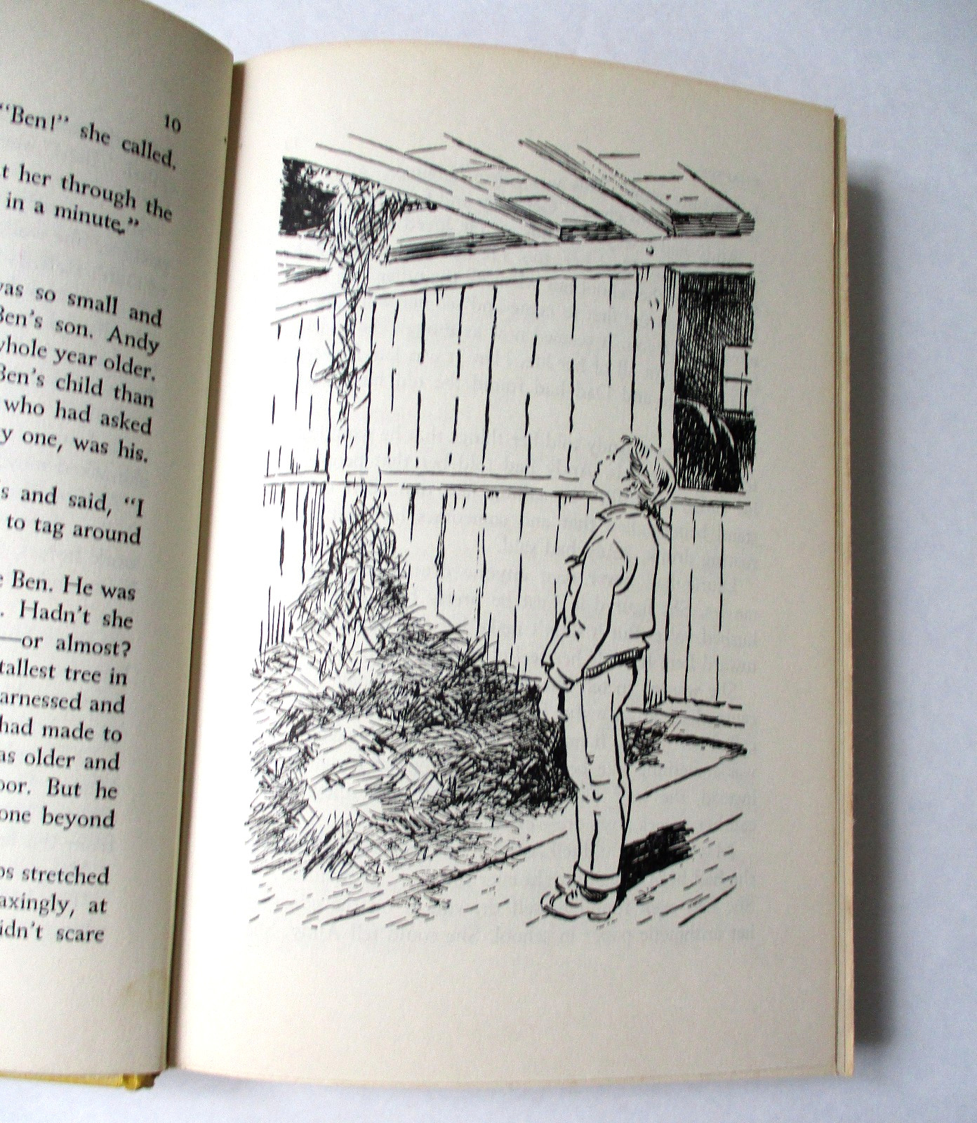 Famous Horse Stories LAURIE Estelle Barnes Clapp 1953 Hardcover Girl Loves Horse