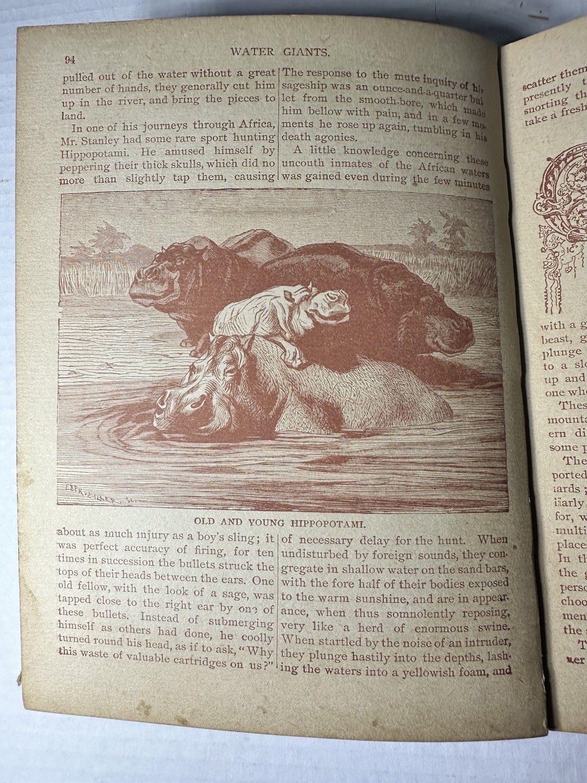 Vintage The King Of The Circus 1902 Book Unknown Publisher And Author 224 Pages