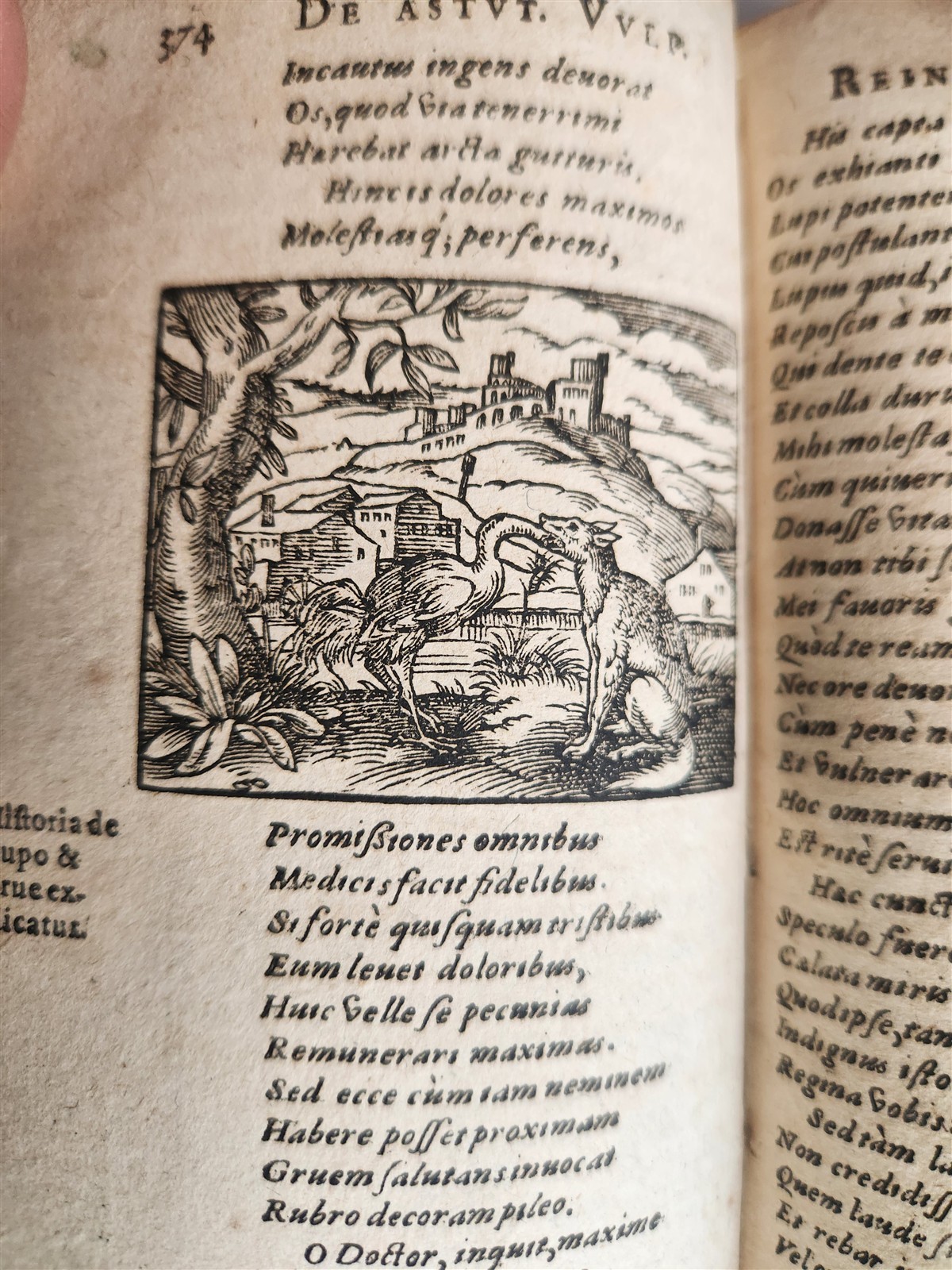 1595 REYNARD the FOX in LATIN illustrated by Jost Amman & Virgil Solis ANTIQUE