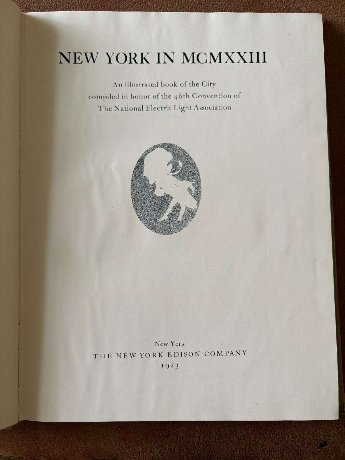New York In MCMXXIII 1923 Book 46th Convention Nat Electric Light Asso B/W photo